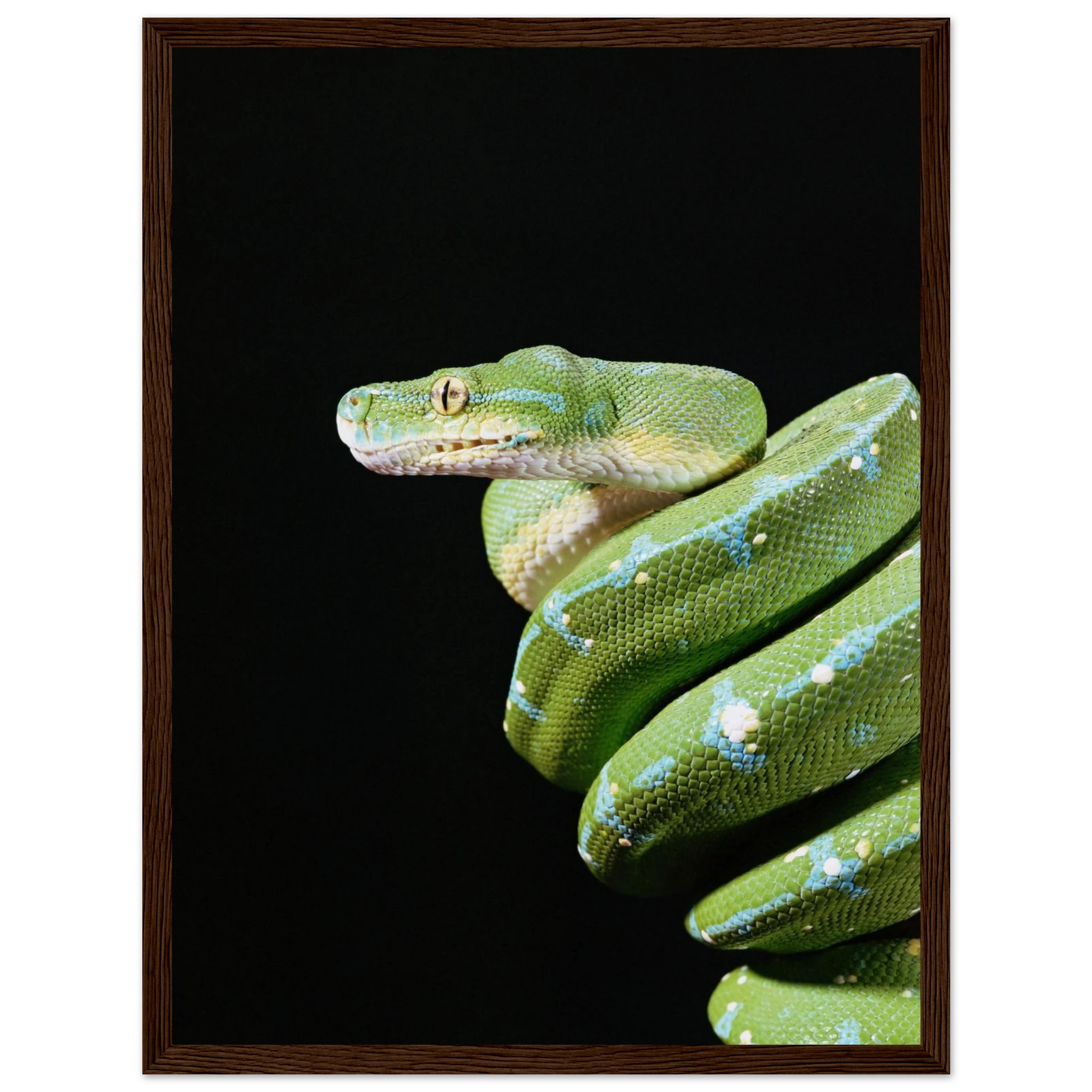 4db8af31-f091-4697-ba67-69ae49bc4d45