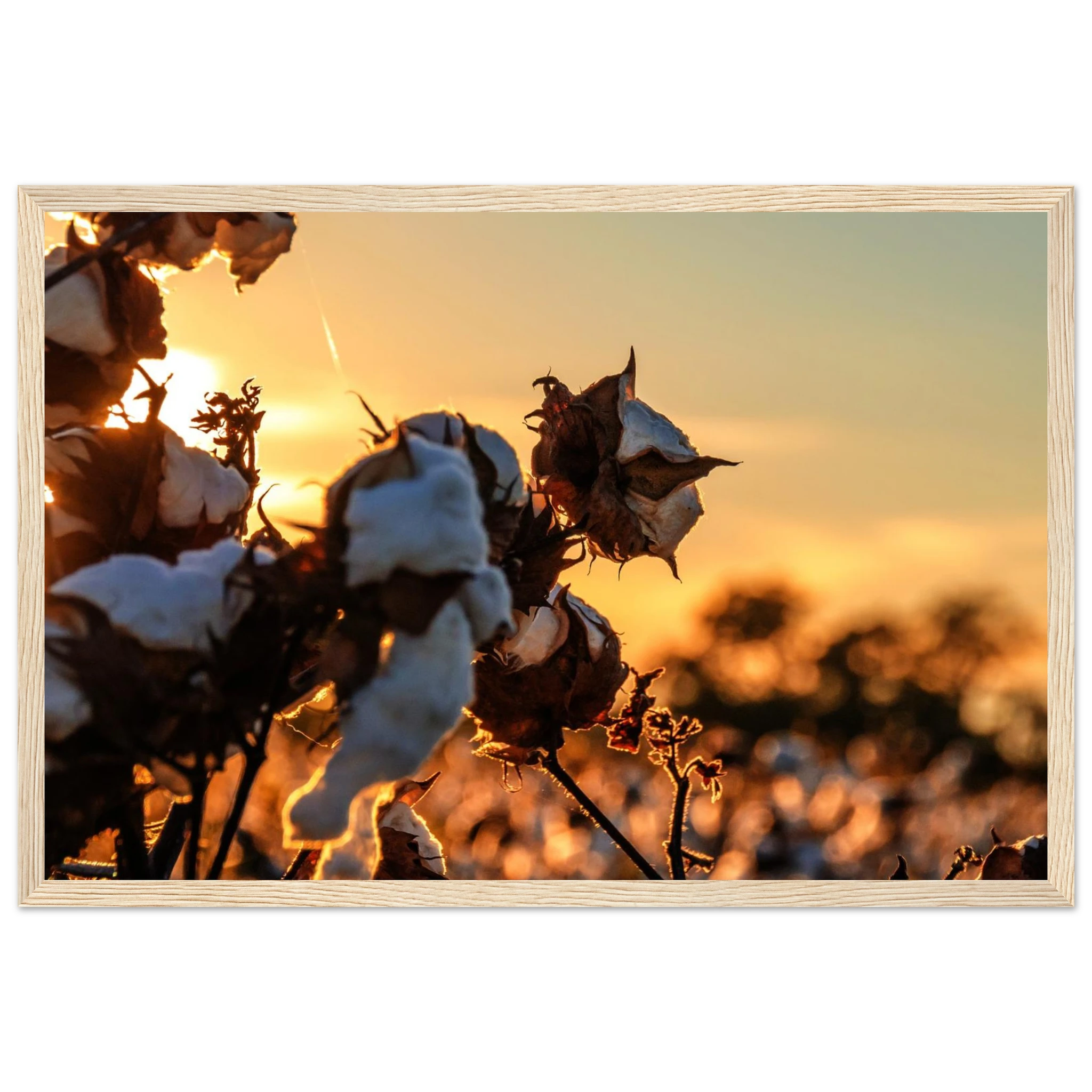 4dba1ba0-5d39-4790-8486-5a286bfd0beb