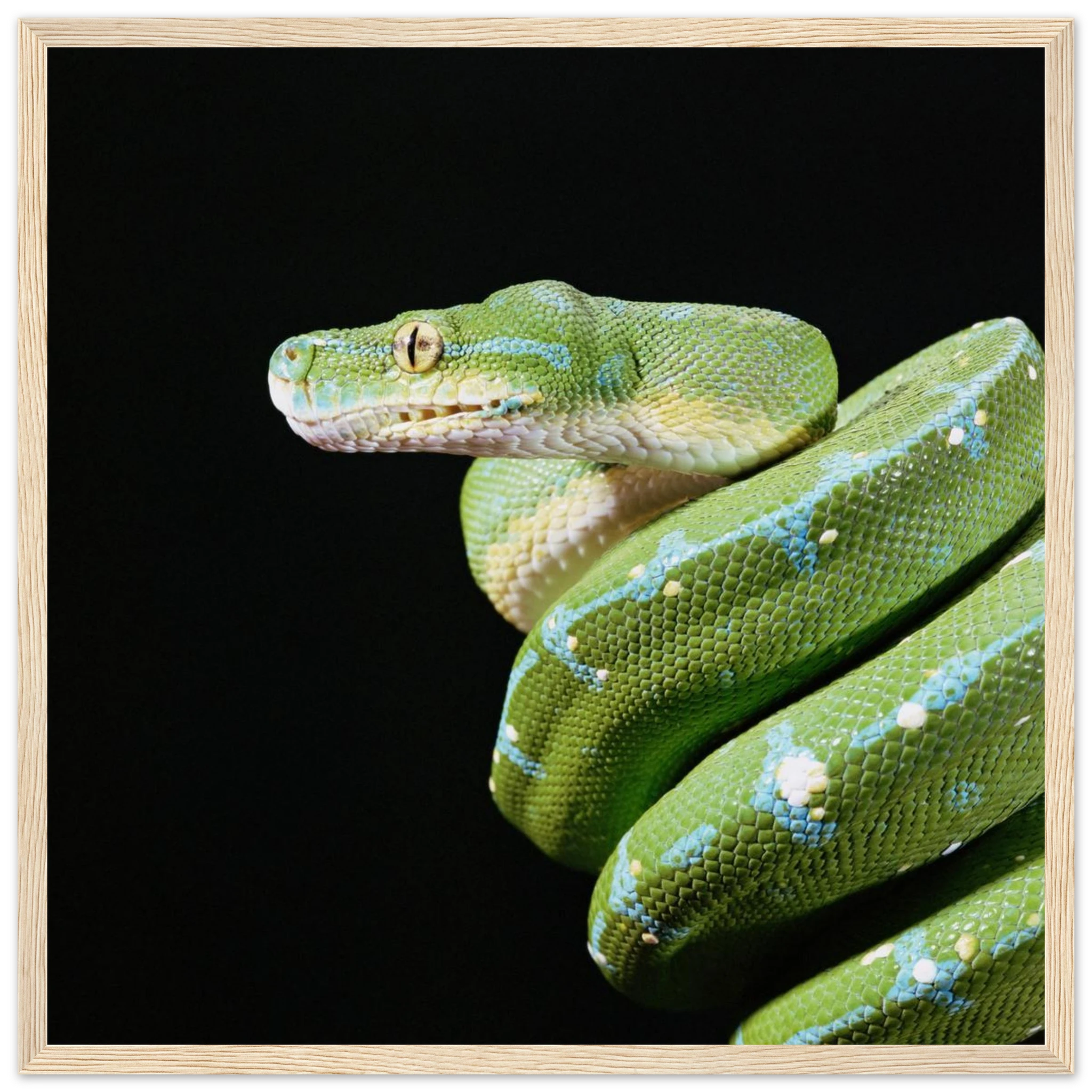 4dbef52d-cb4a-47a5-9202-6c9a6bd672b8