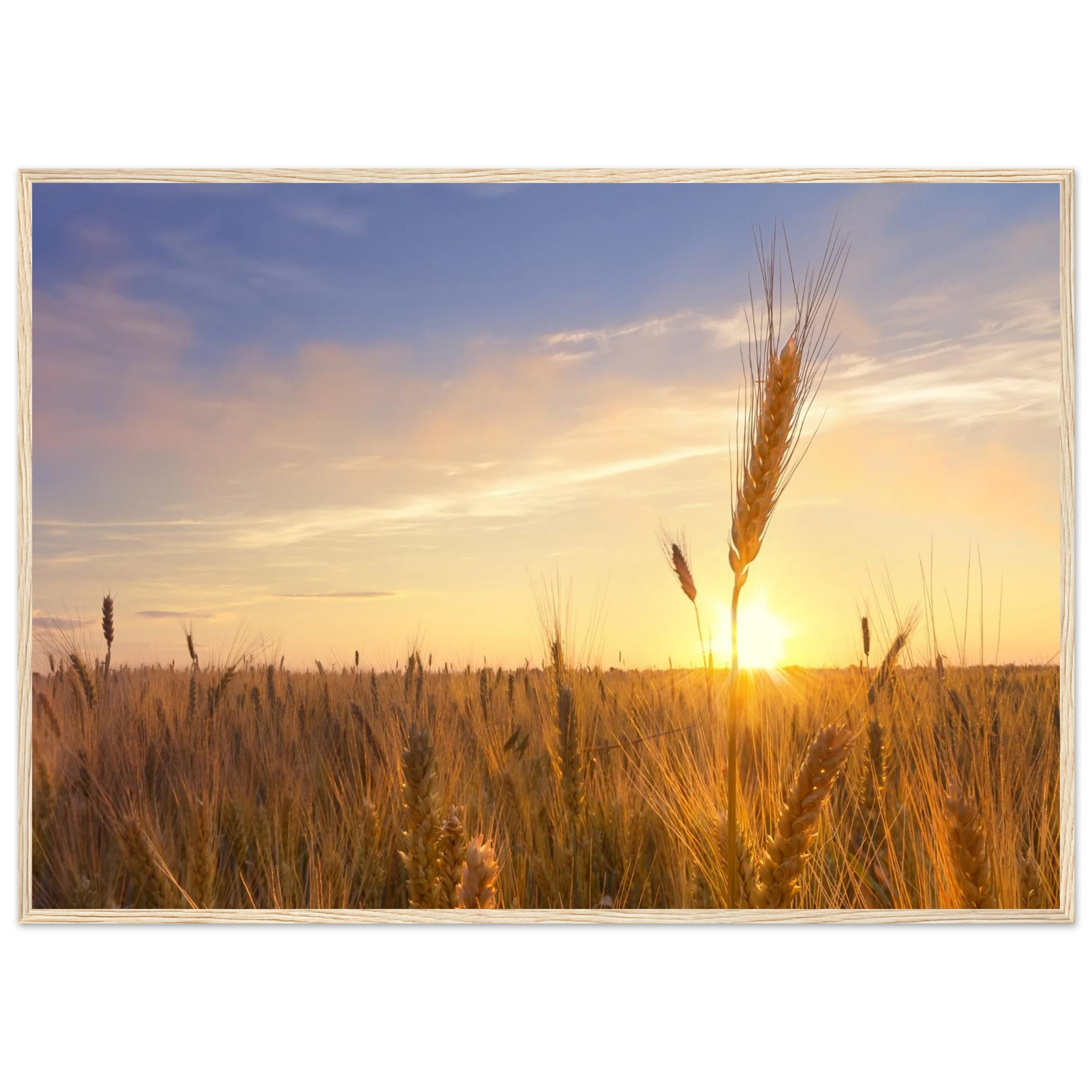 4dce671c-e6ff-46c2-90e7-1de8732e9358