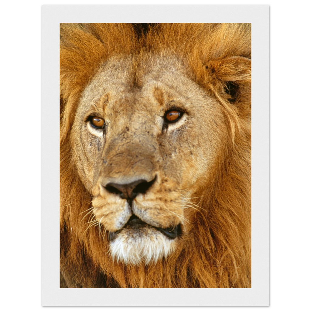 4df60fa3-b44a-4452-bfdf-b2d7bf4f1ad3