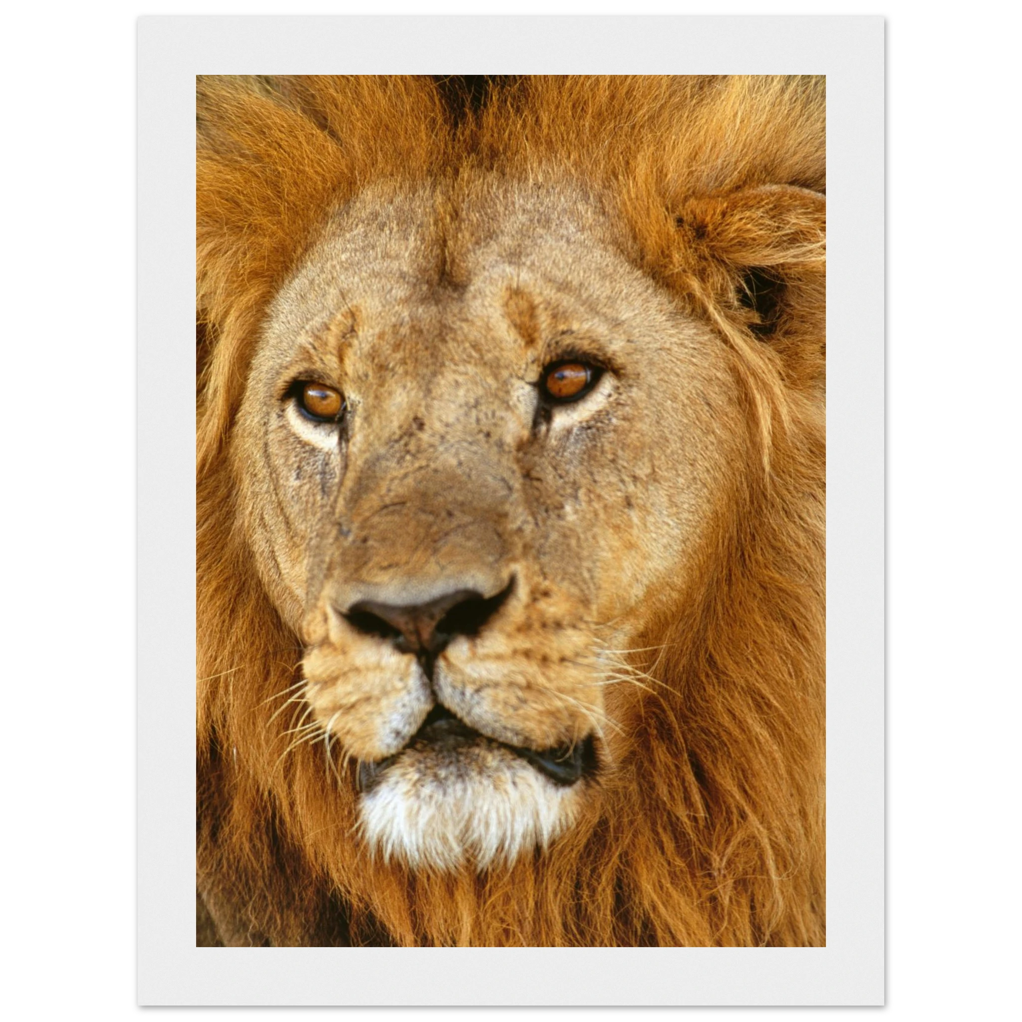 4df60fa3-b44a-4452-bfdf-b2d7bf4f1ad3