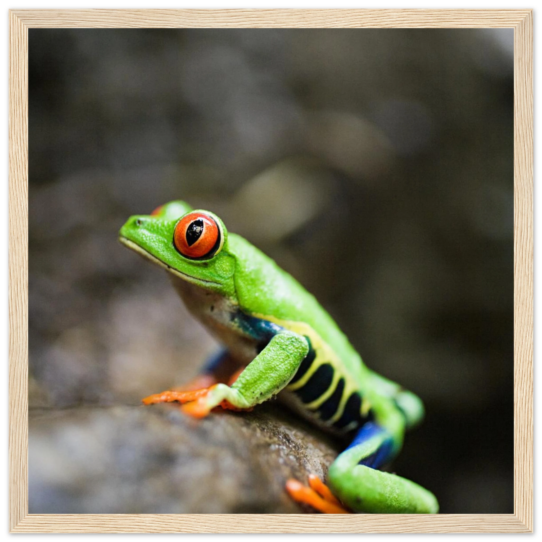 4e00946e-cb58-4c6d-9984-623682208720