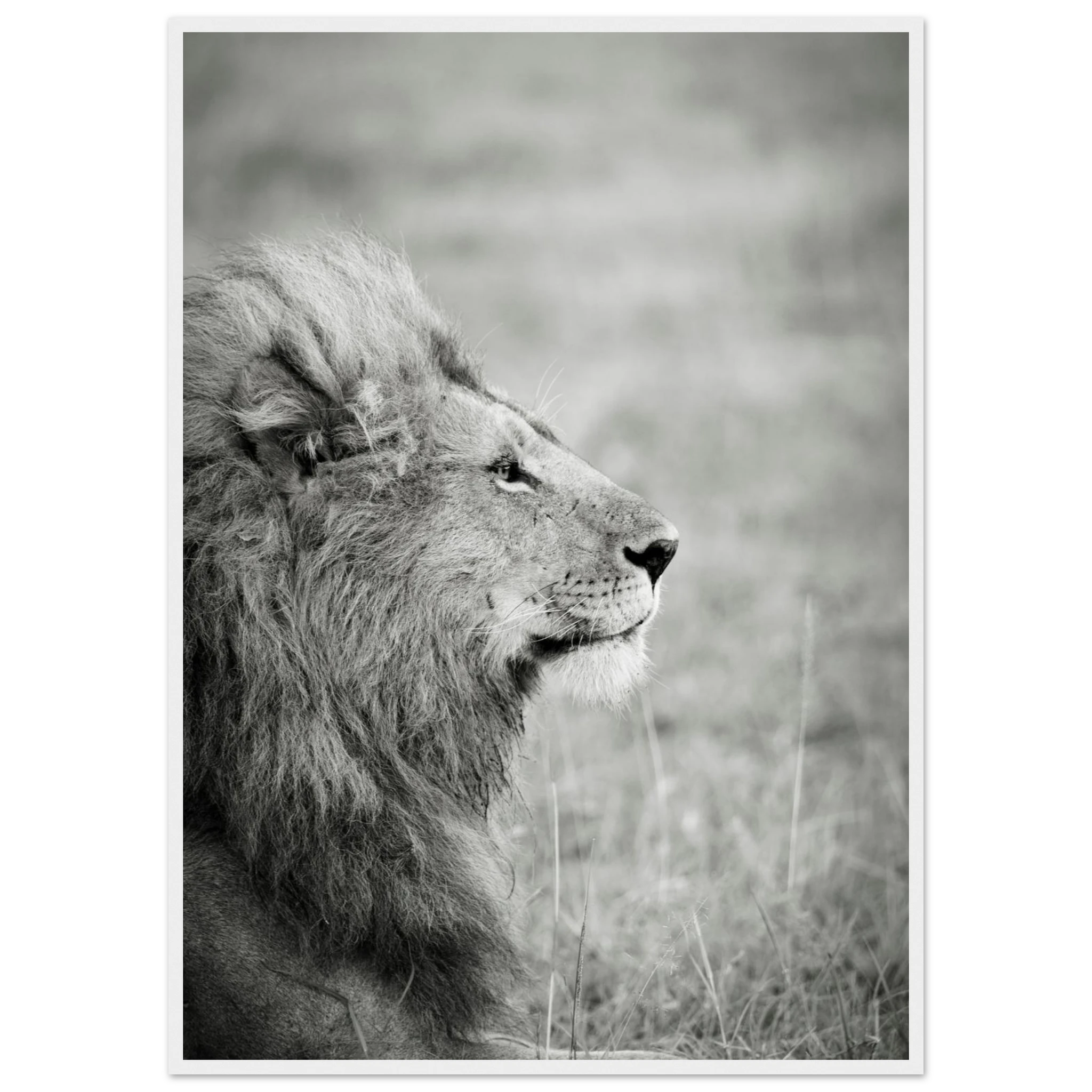 4e2278a3-5273-42bc-98bd-71151e87209f