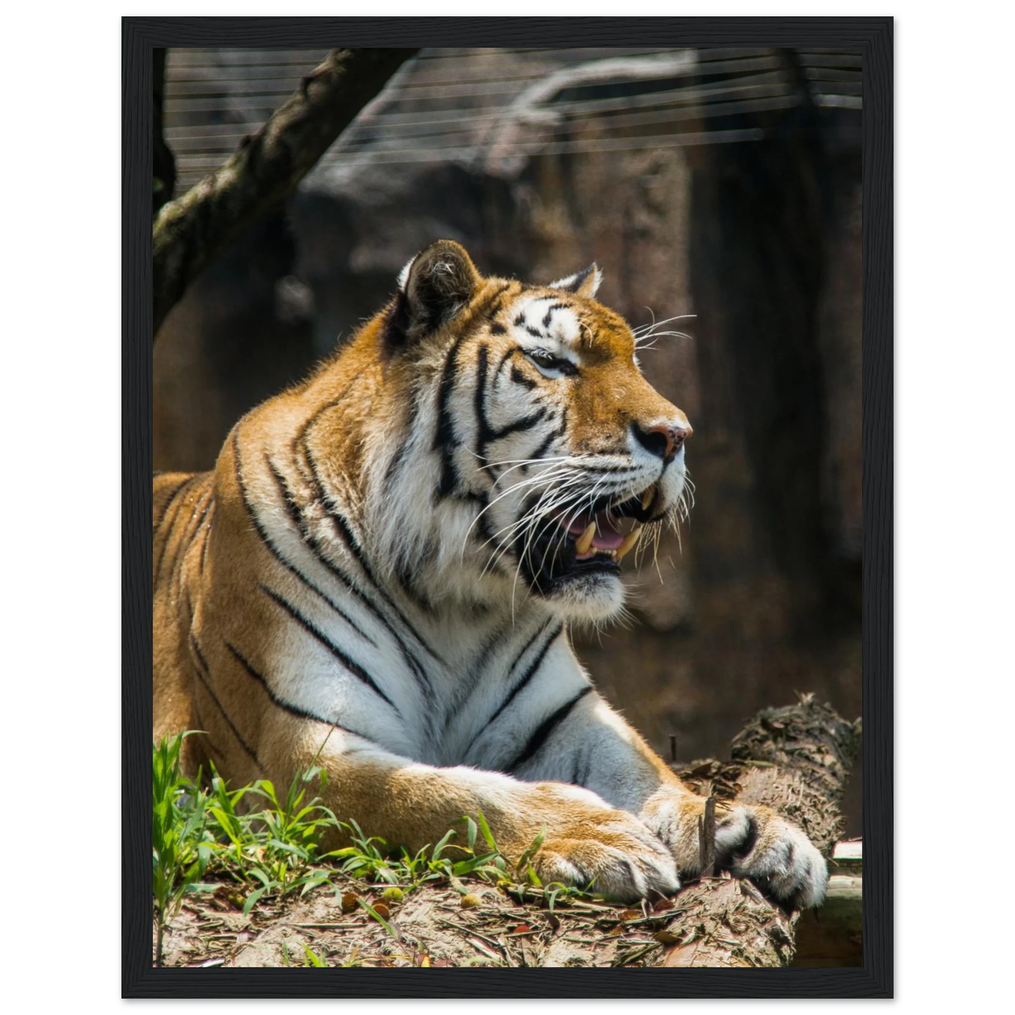 4e3f674c-5bcc-494e-a3e5-592f737fdd30