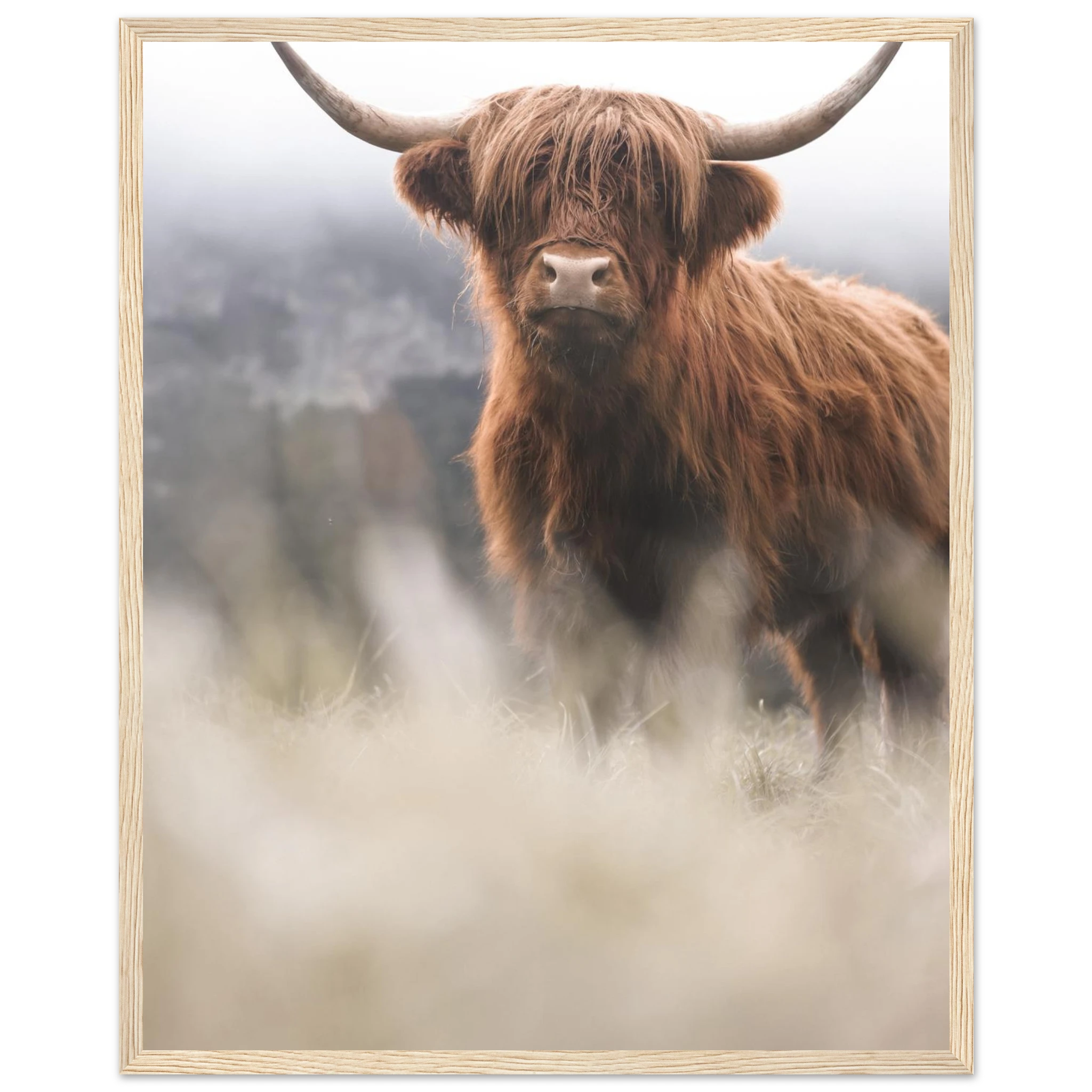 4e466ba4-6025-4925-8425-eec2d225f1e3