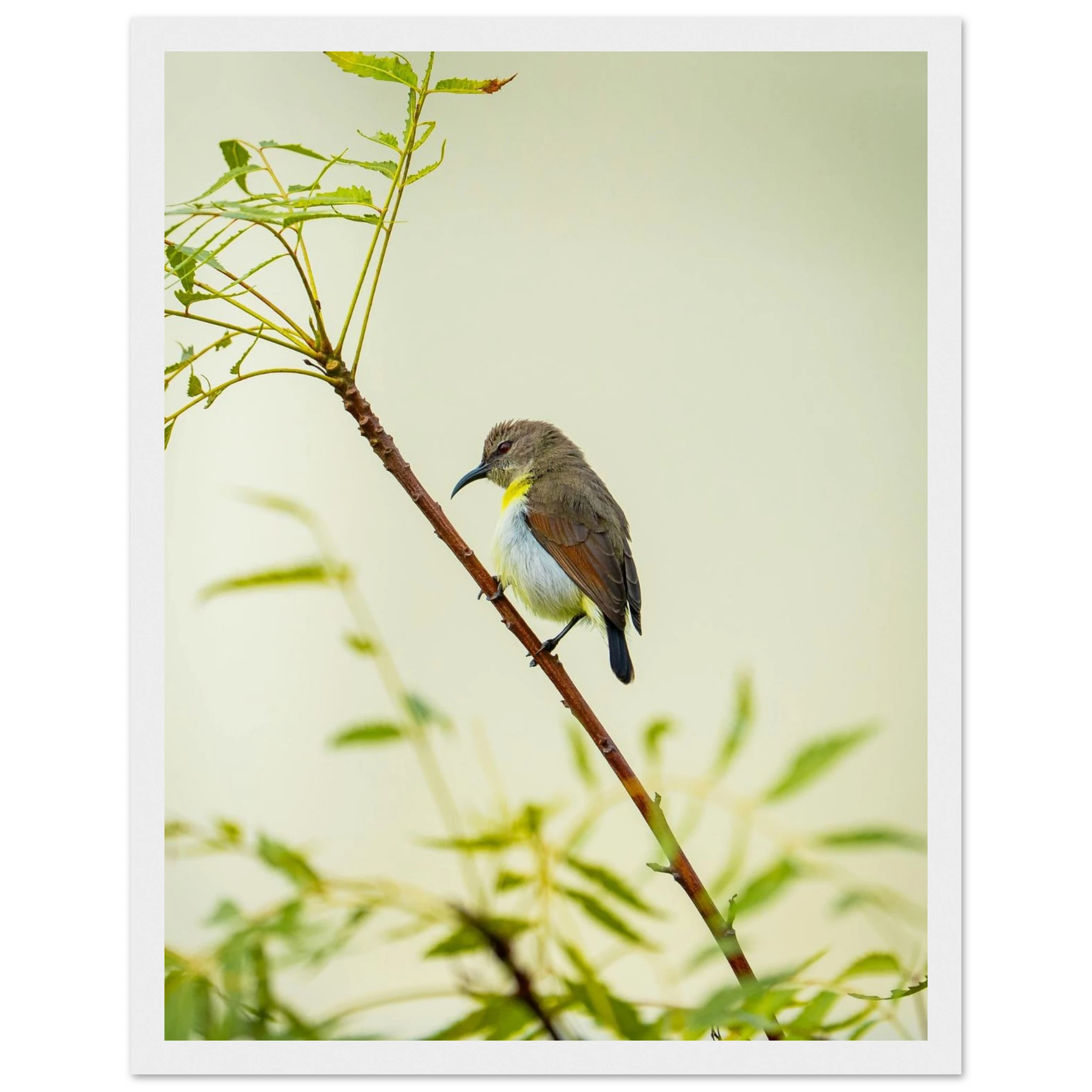 4e5235c3-cbb2-4ced-a7ee-8aaaf7270d22