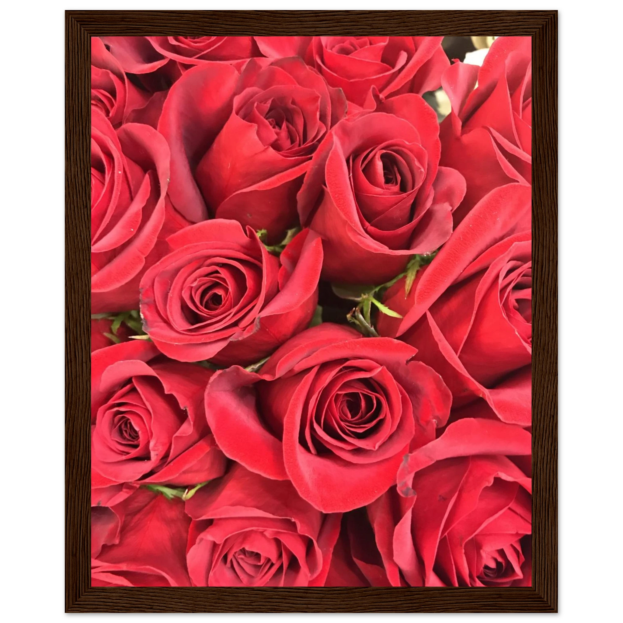 4e53e3ea-3648-4767-beba-7422b27c6d7e