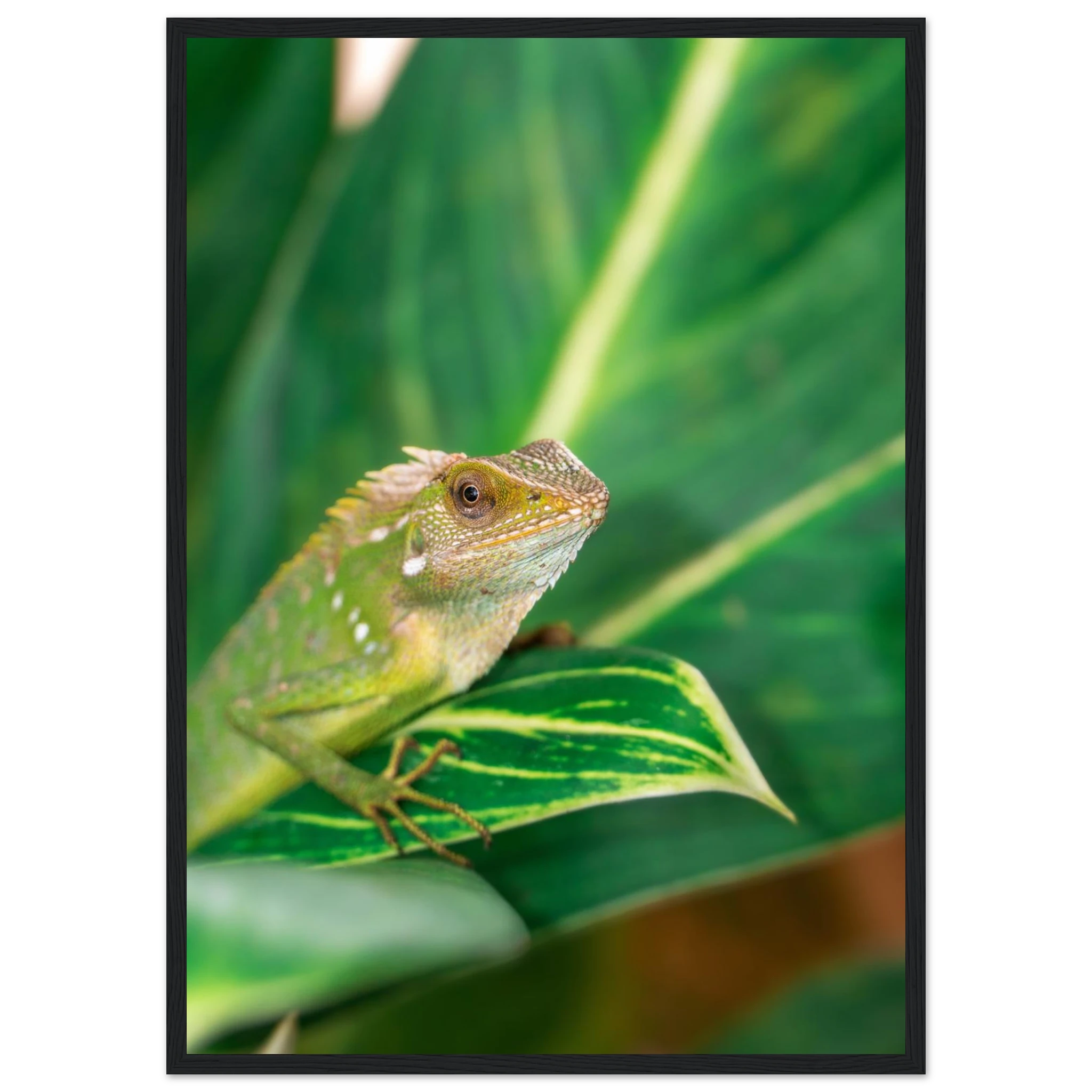 4e5fac18-ba55-425f-bc37-c5aa08f66680