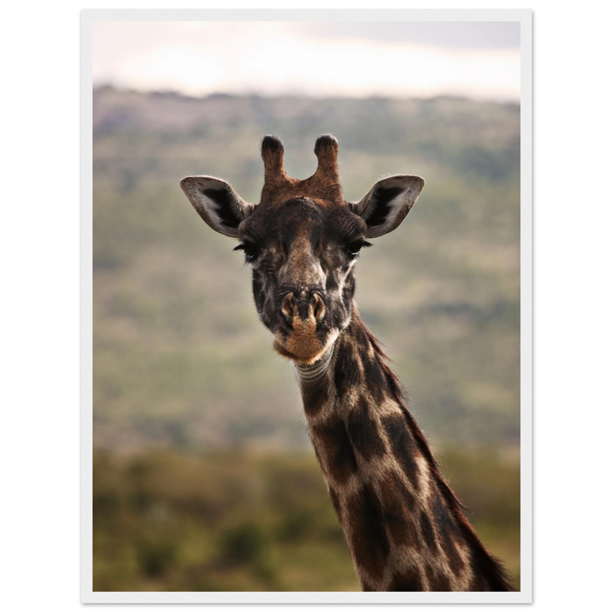 4e87ef8c-aad3-48e9-9700-d2d28556029a