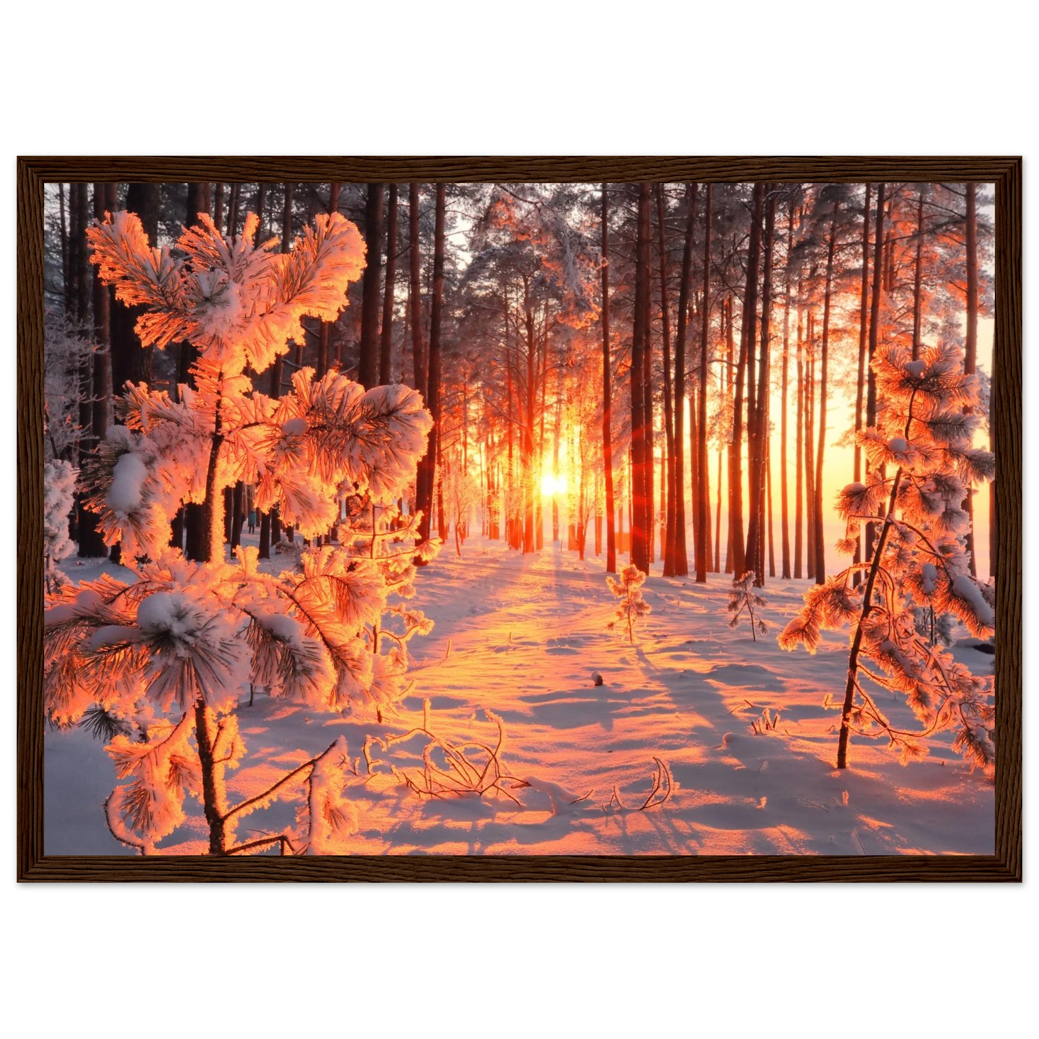 4ea2ef19-ef28-4b45-83d3-9b6f0cb17383