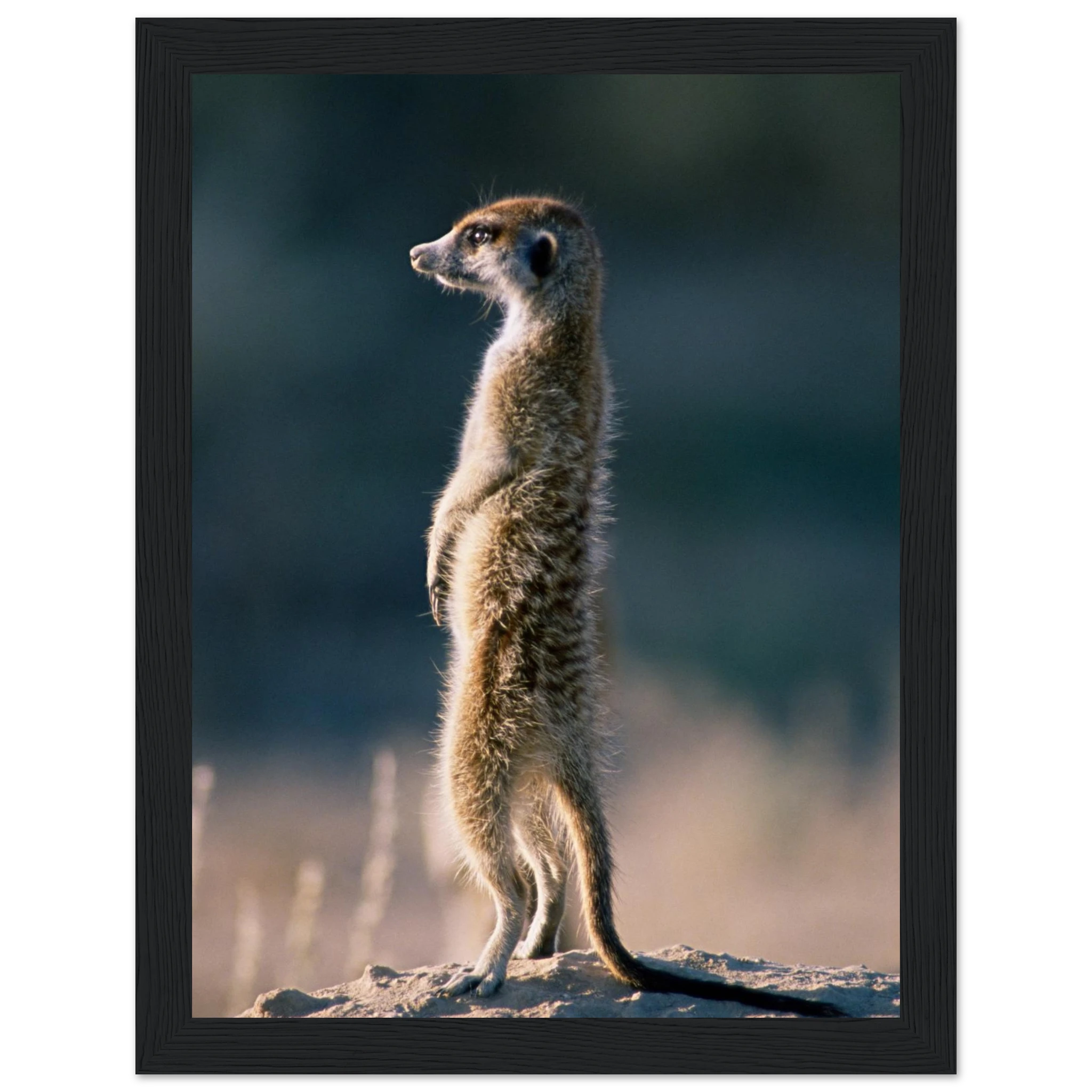 4ea987d6-a9d7-4e64-a2fb-722a5dc583e2