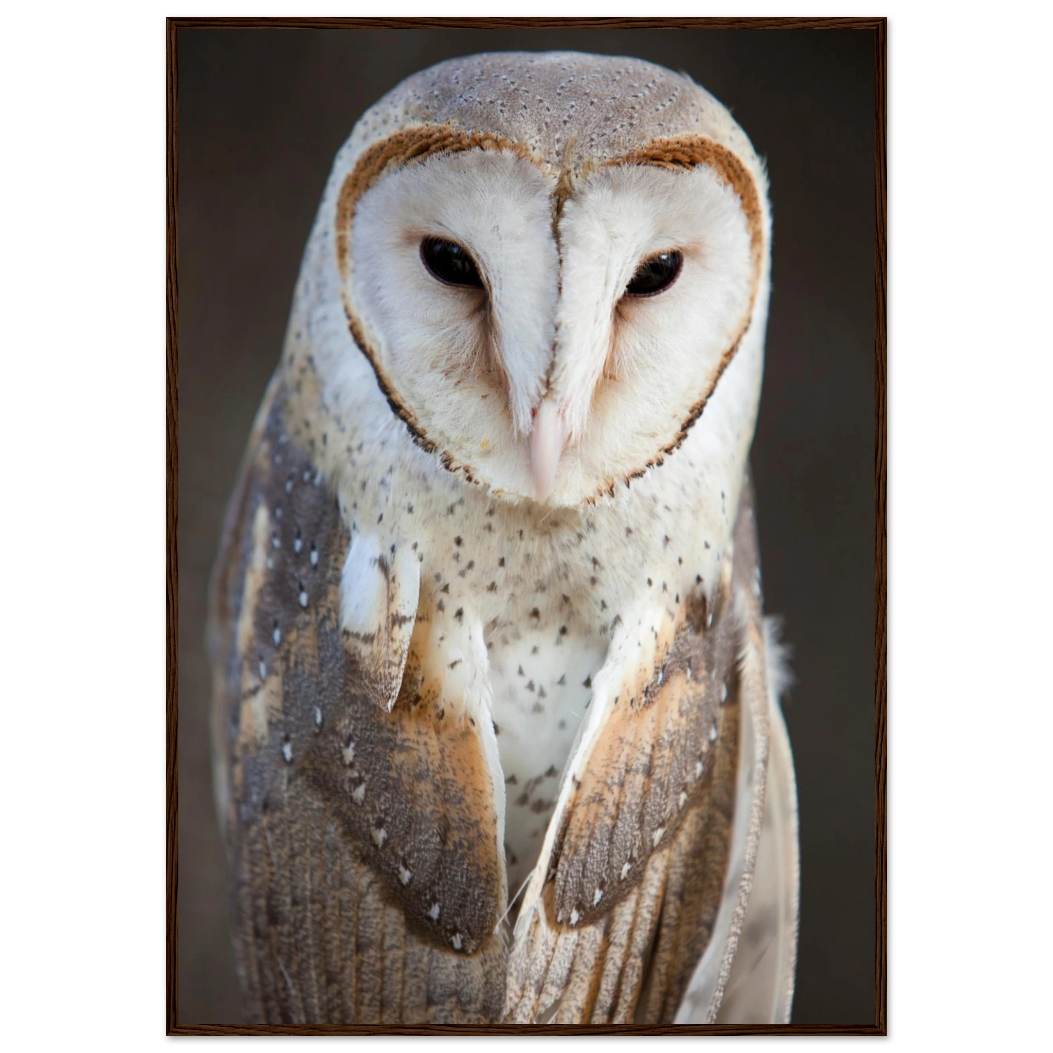 4eb70f88-22e5-44f0-b816-930b16b9291c