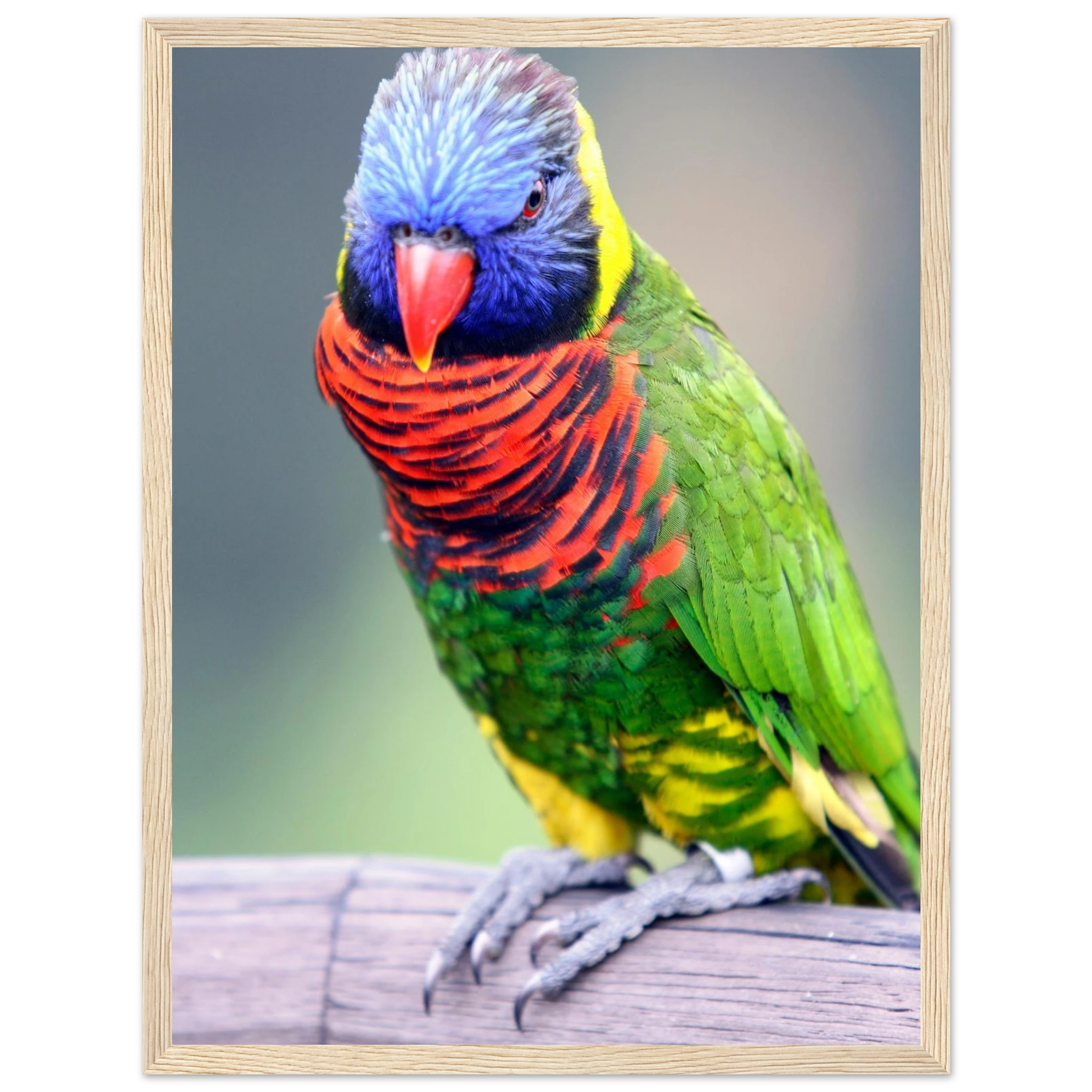 4ebe3208-999f-4737-8a05-79639eea2a4c