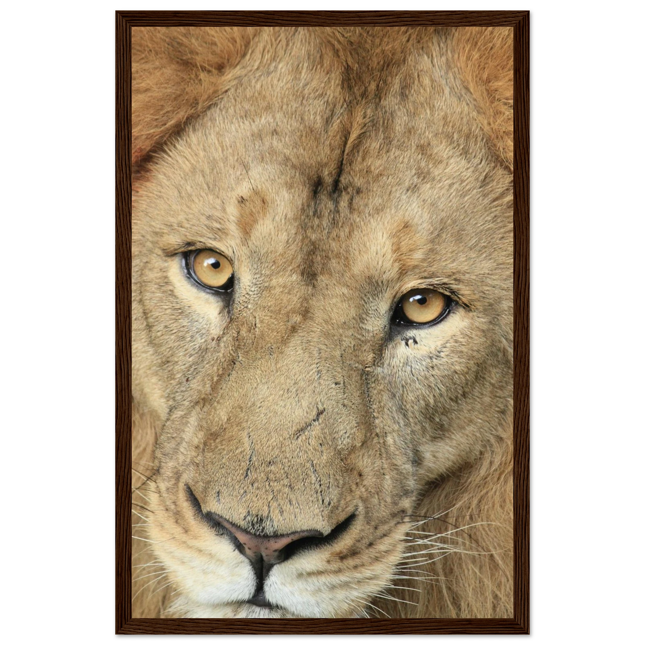 4ec90872-f004-49b1-8201-b03879c25991