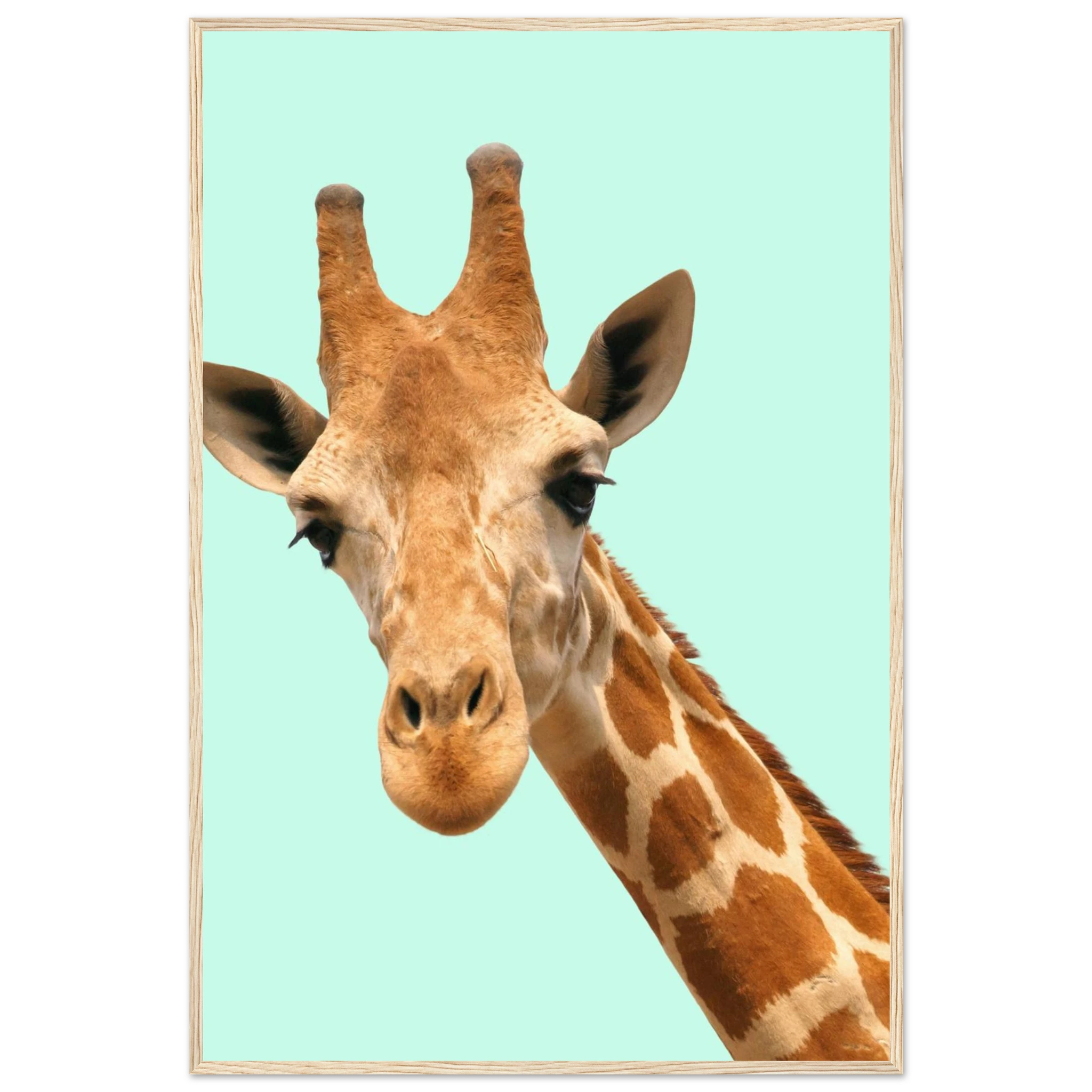 4ee7a726-7dd2-46a3-9f5a-0d159efb7562