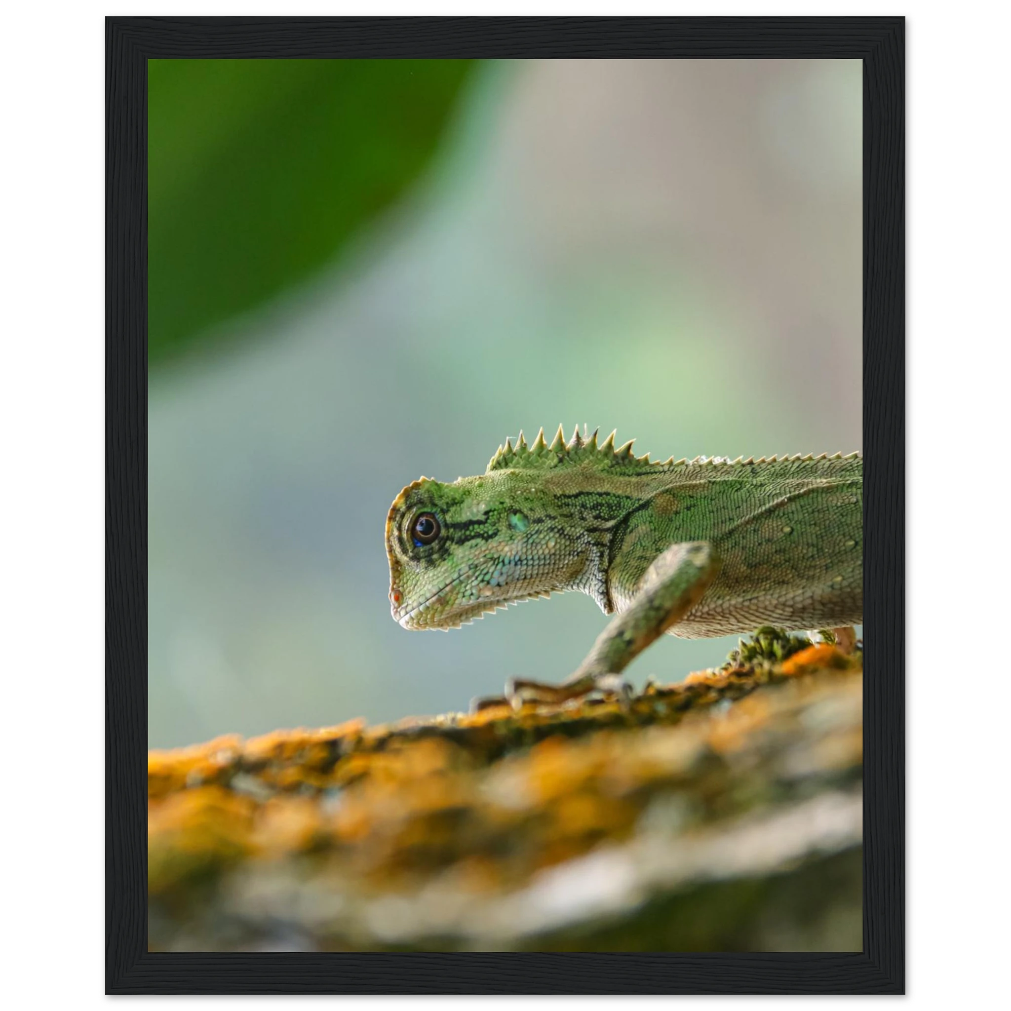 4efd5fcd-4774-4570-bc2f-5b07d5bfad61