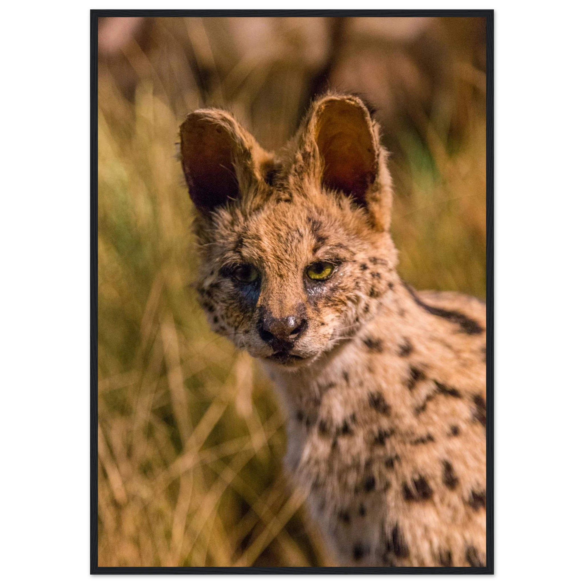 4f11c638-1fbd-43f4-9ef9-73aad548219e