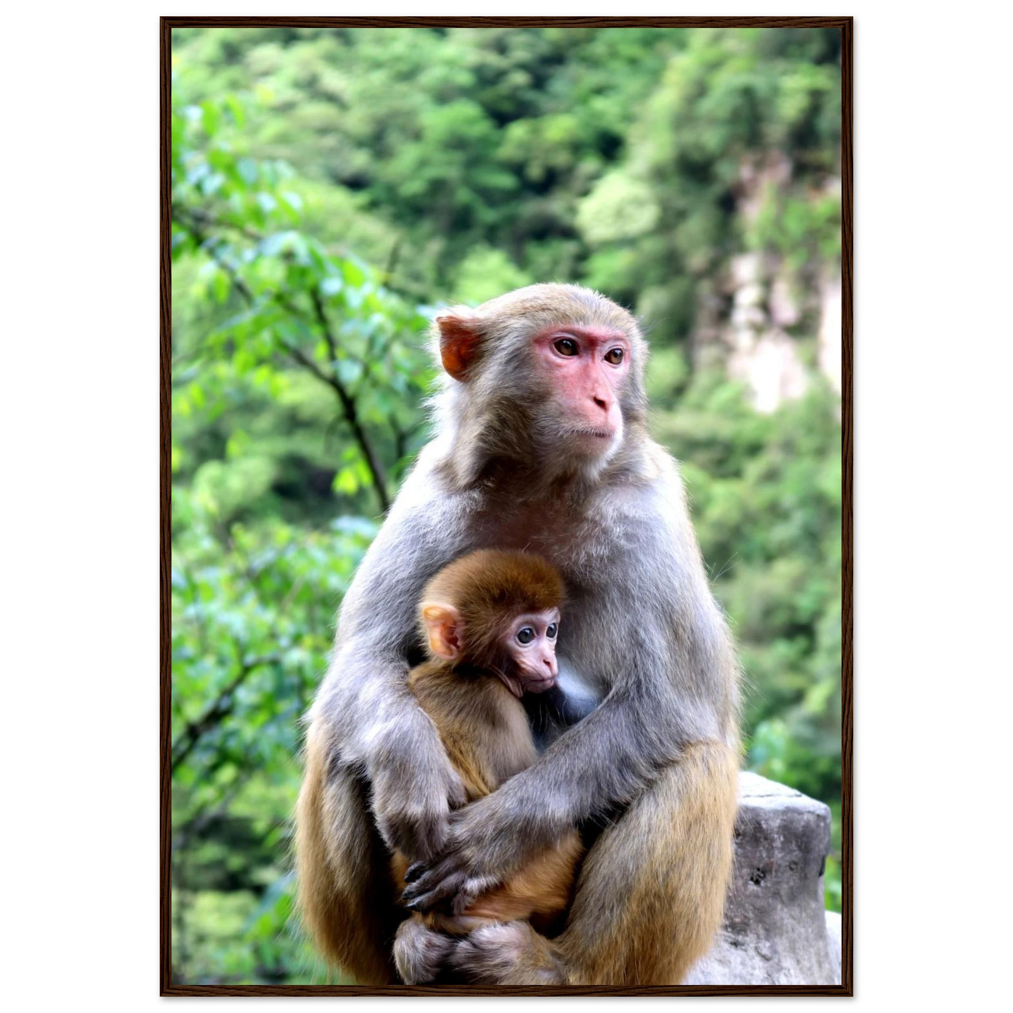 4f2ef1b7-b9ed-4f16-b3df-7582f57296b2