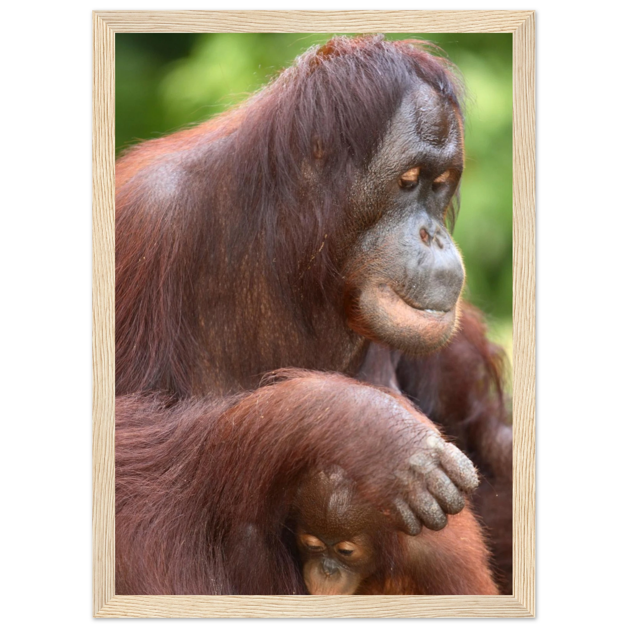 4fa512d8-c830-4dd4-9c9a-532a96c04b0c