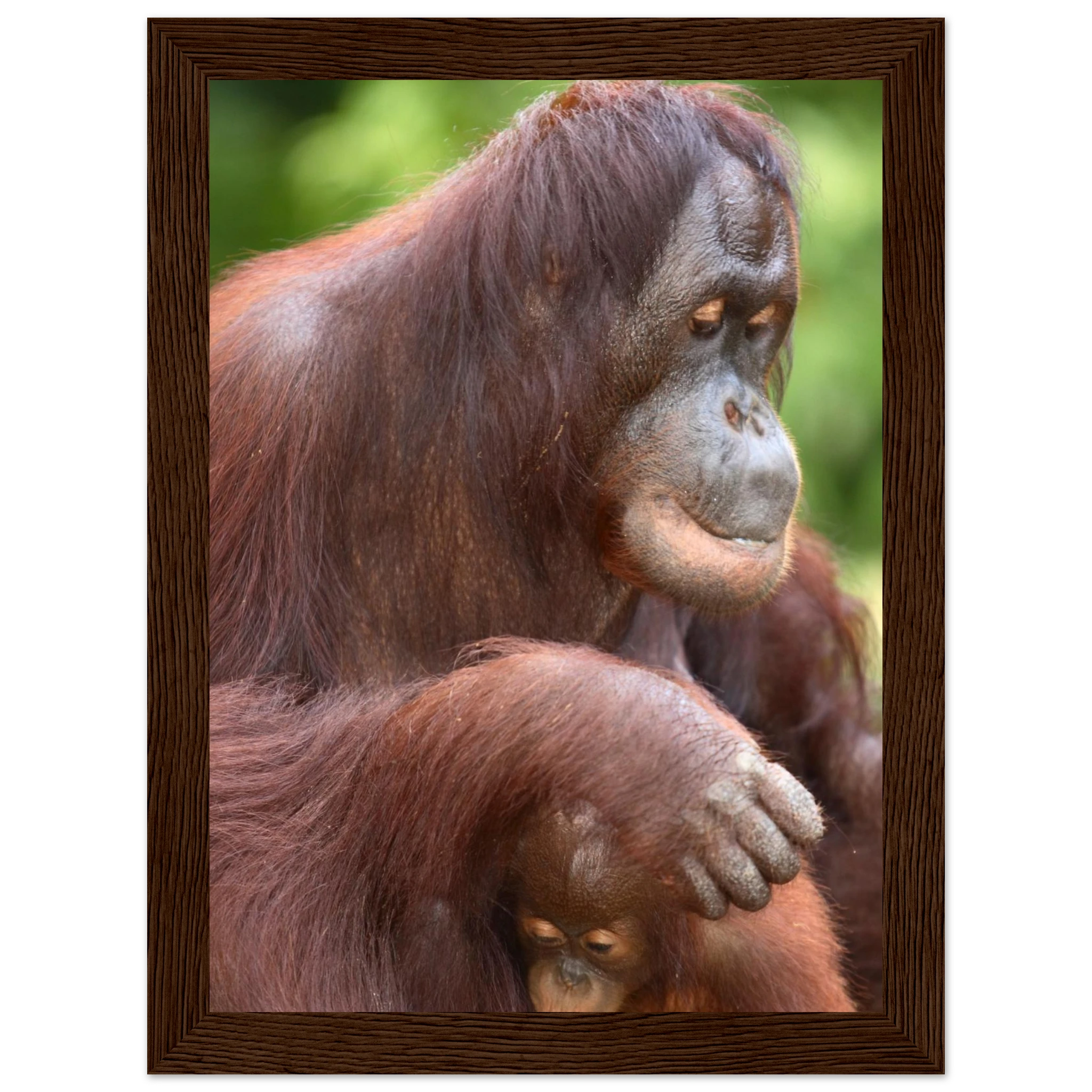 4fb707bd-2afc-4b1d-a9aa-eea354202e4c