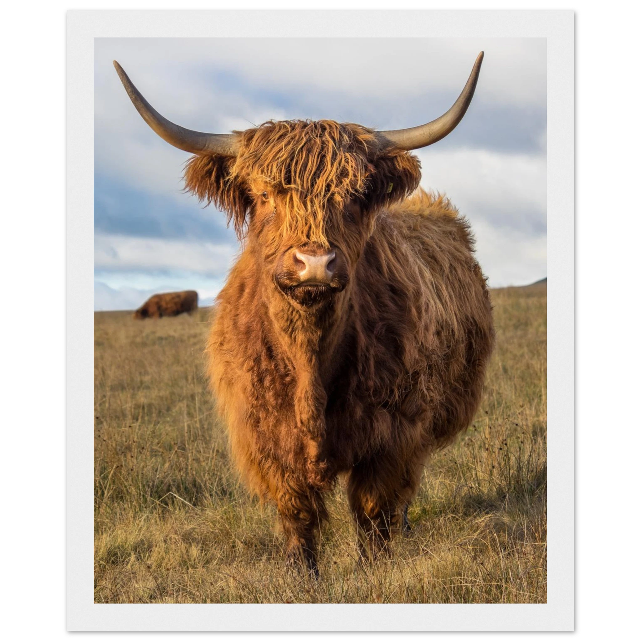 4fcb3c53-4a9e-4986-bc44-1e62eb039b7f