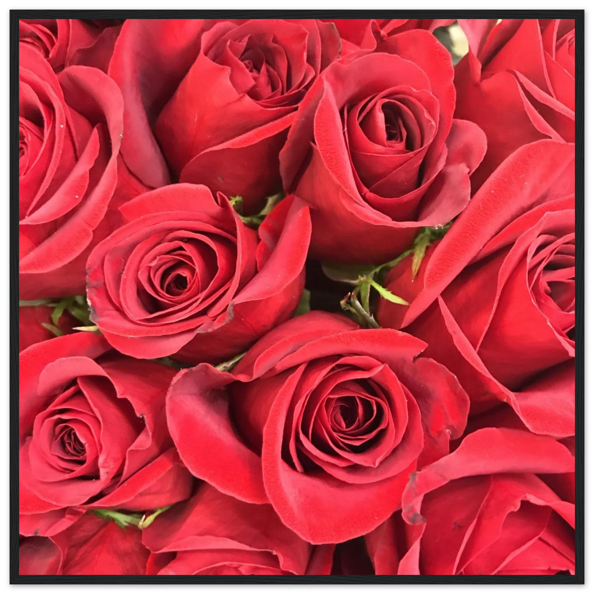 4fef331e-2f69-40d9-a38d-6bc965a6badf