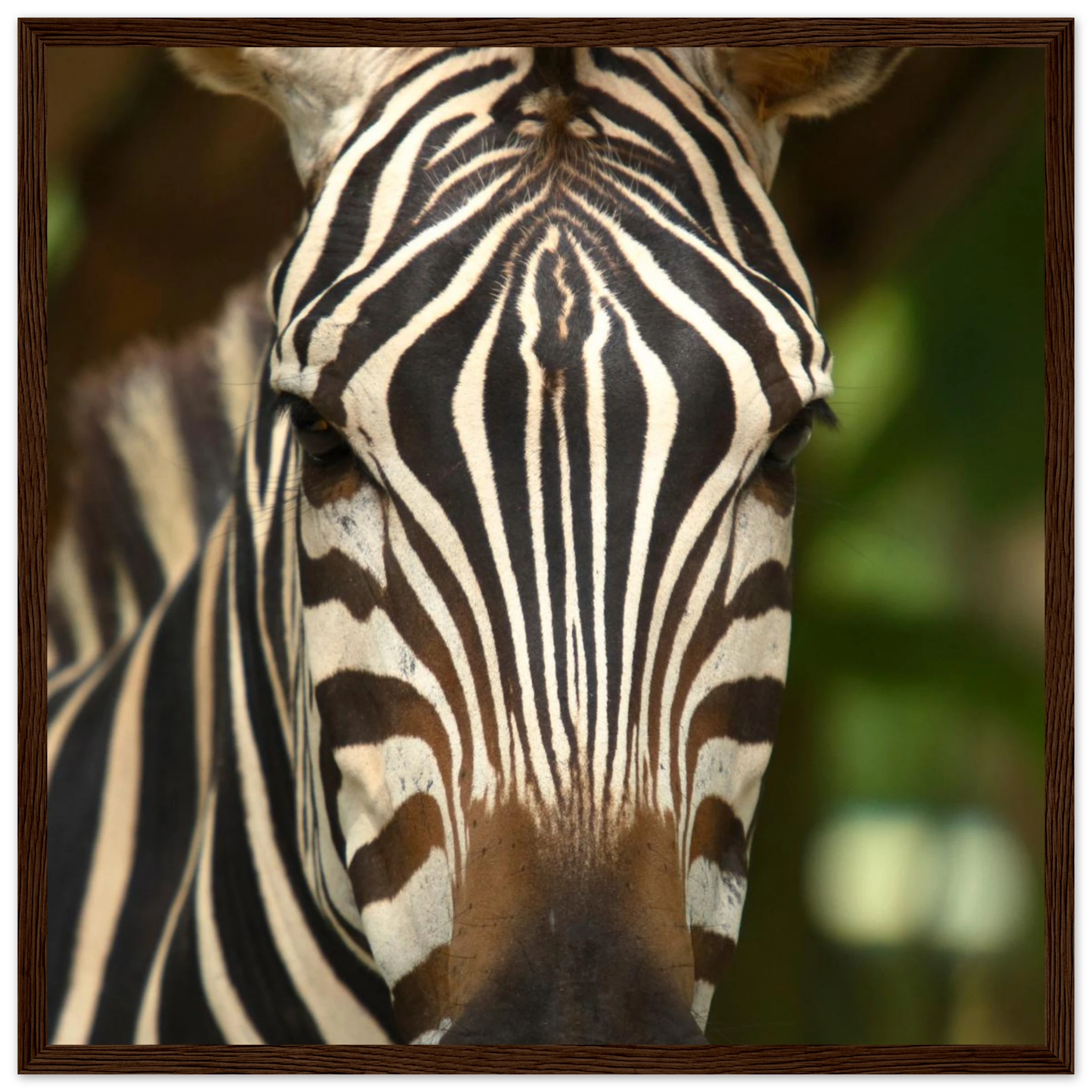 500ce7cf-f7c3-4aa0-978e-69cd4be3a2e9