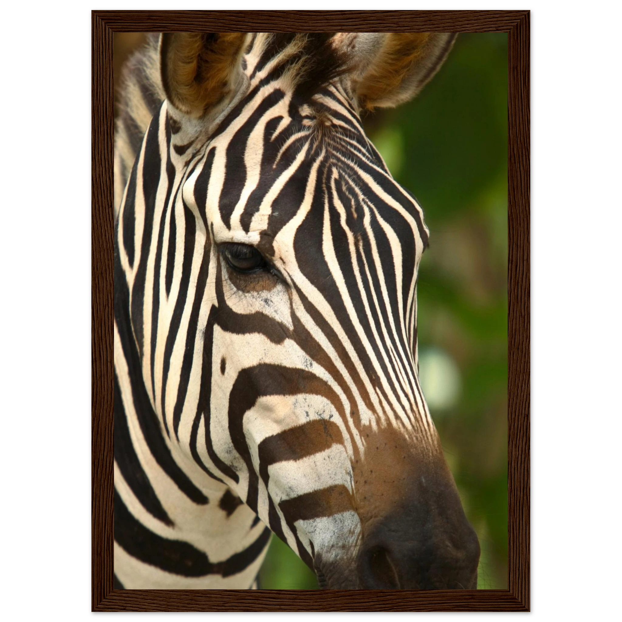 50374bd9-e71e-4295-9b4c-2f030ae8fbe4