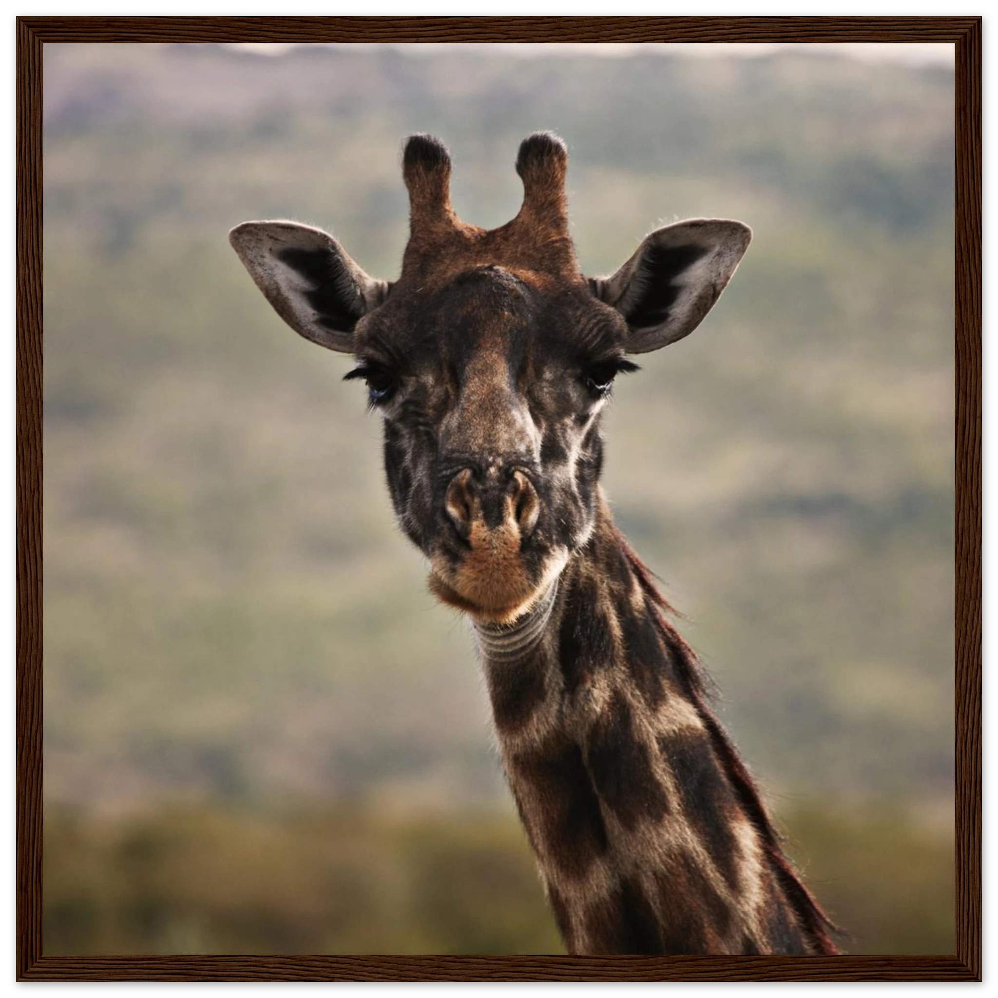 503ff40a-f487-4268-9efa-c0675ced9ae1