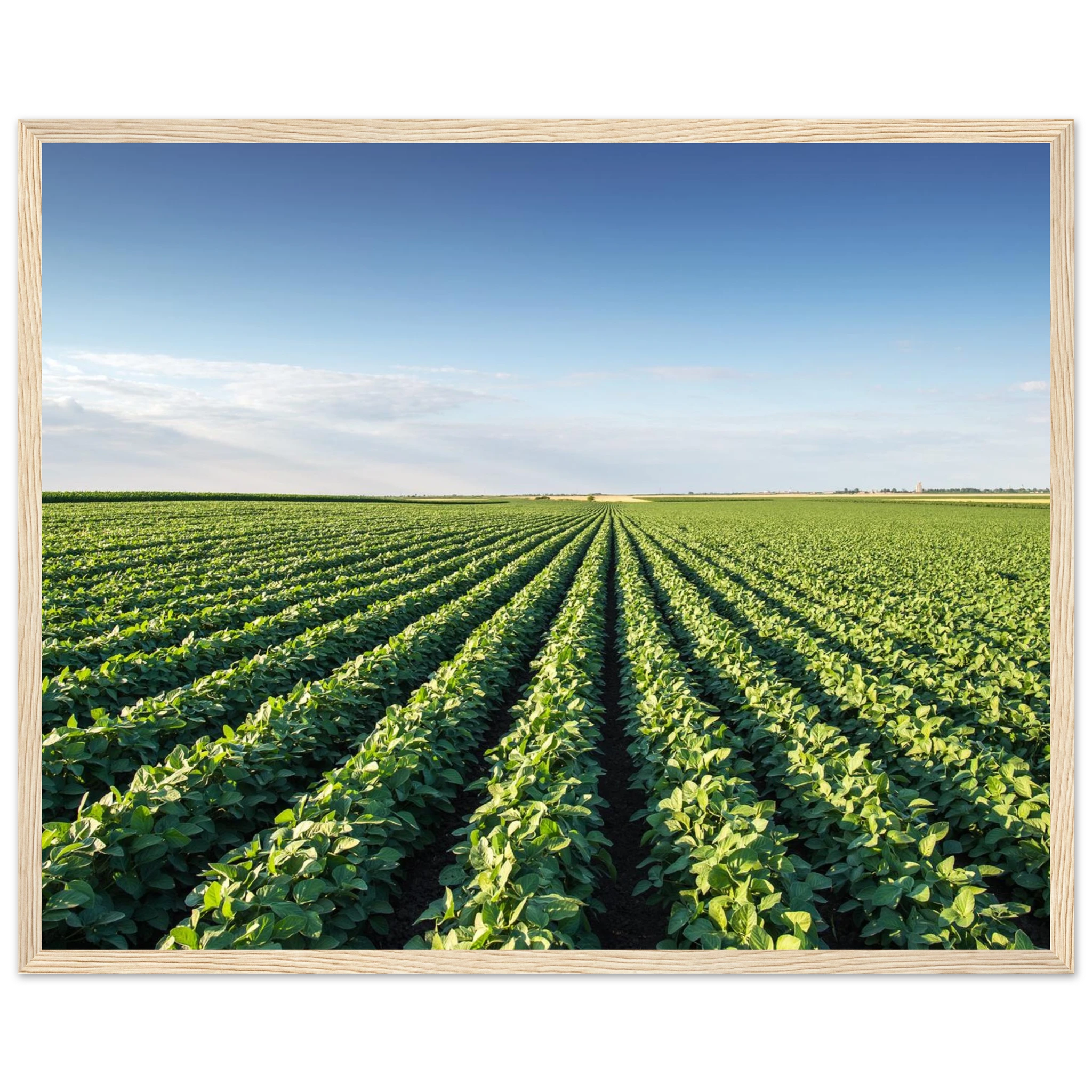 504ec70e-8ab4-4df7-ba79-92e108553e44