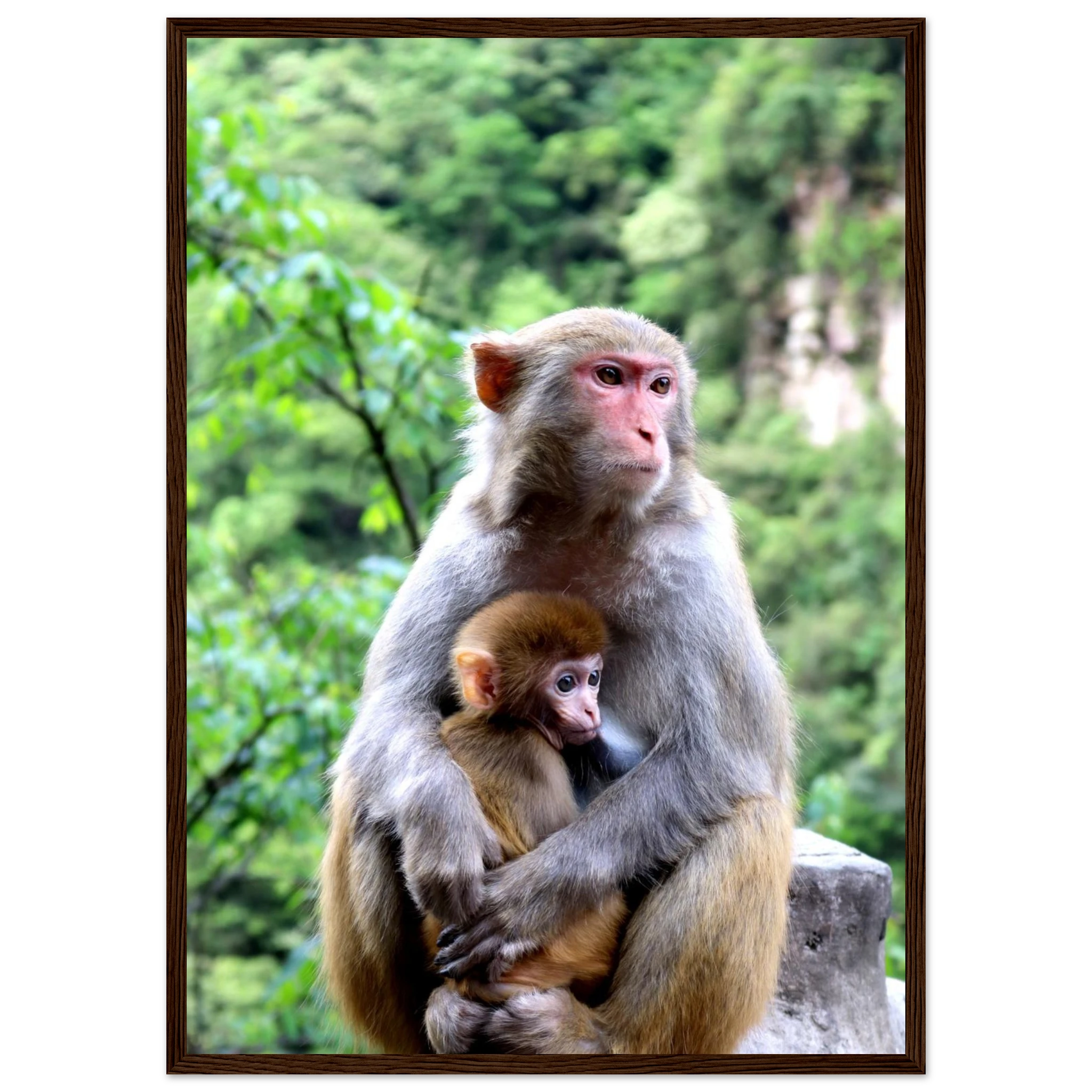 505d08bd-8212-40ad-991f-c8e21543eb33