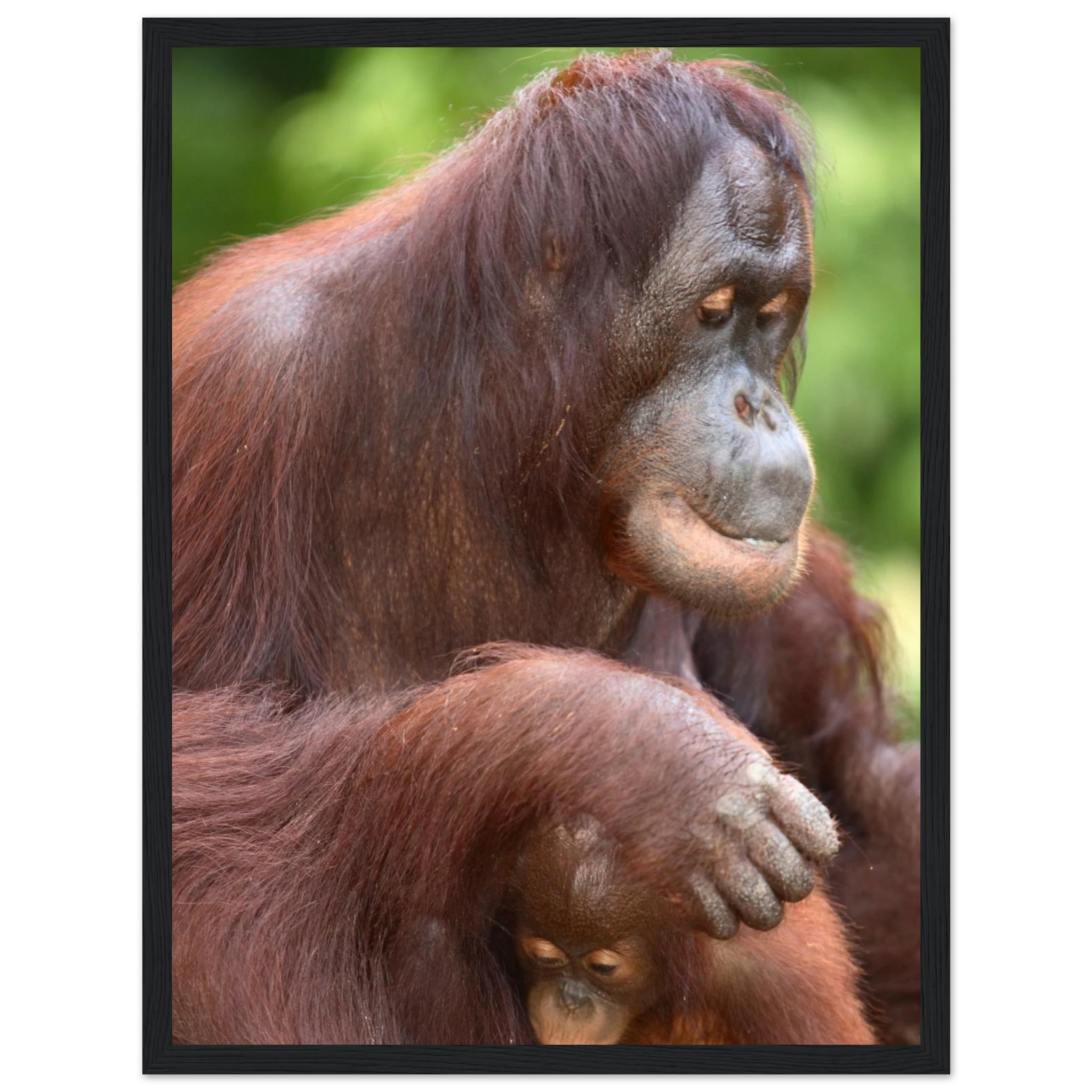 5090f1c6-828b-4271-9bda-4e80ec2aaef3