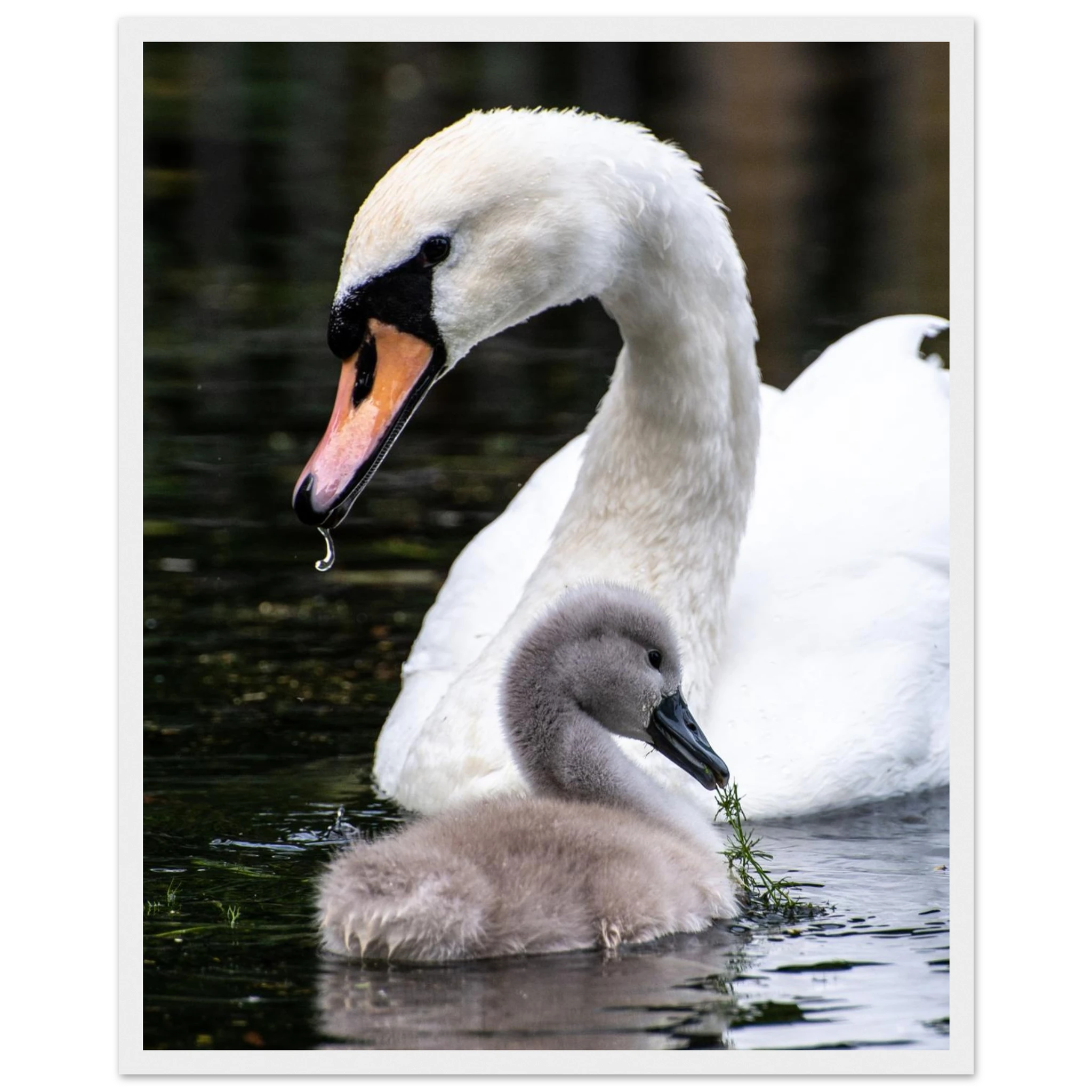 50e3d0b6-b85d-4264-97fa-9f5f5604ffcc