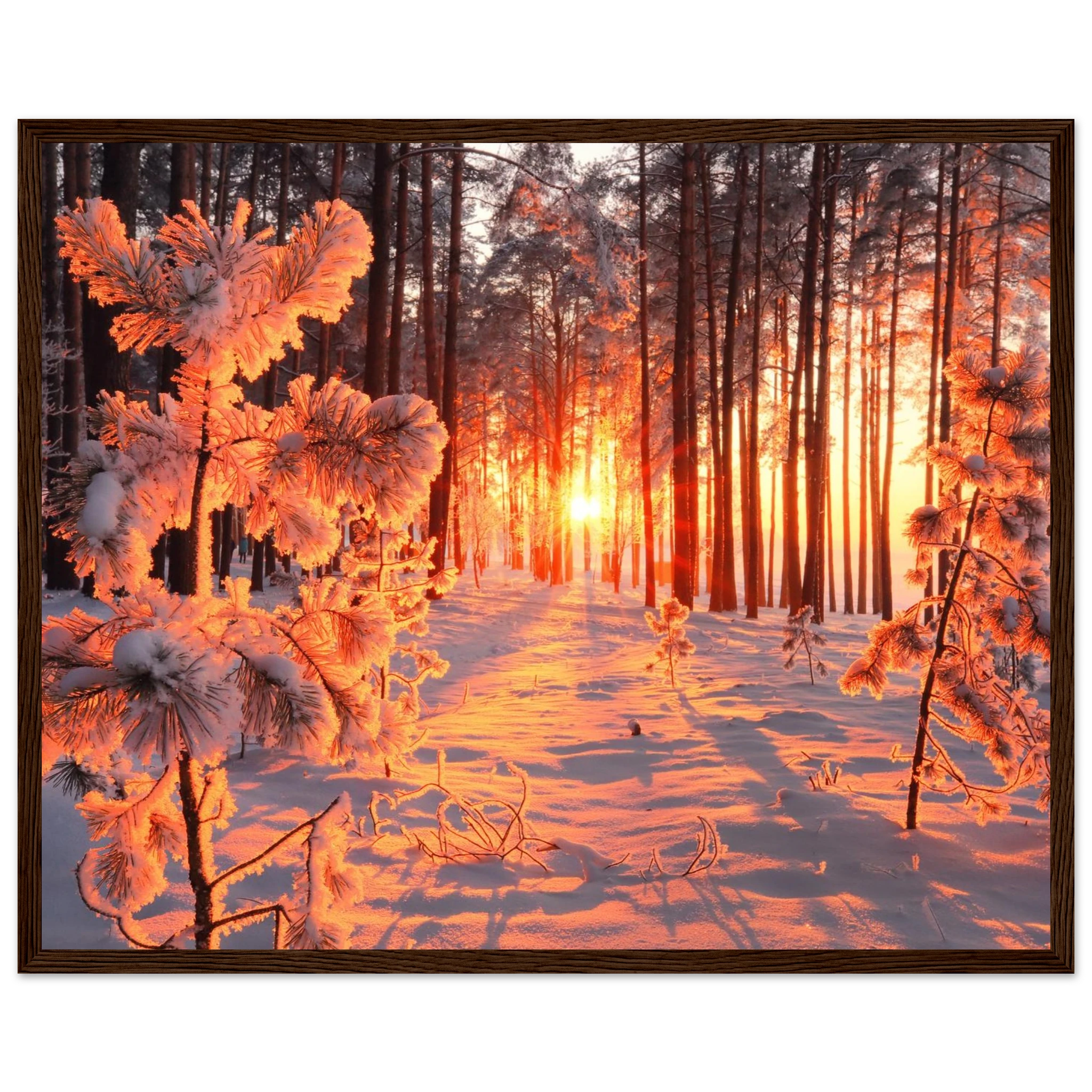 50e65556-d26d-48bd-ae70-3bbce3952c7c