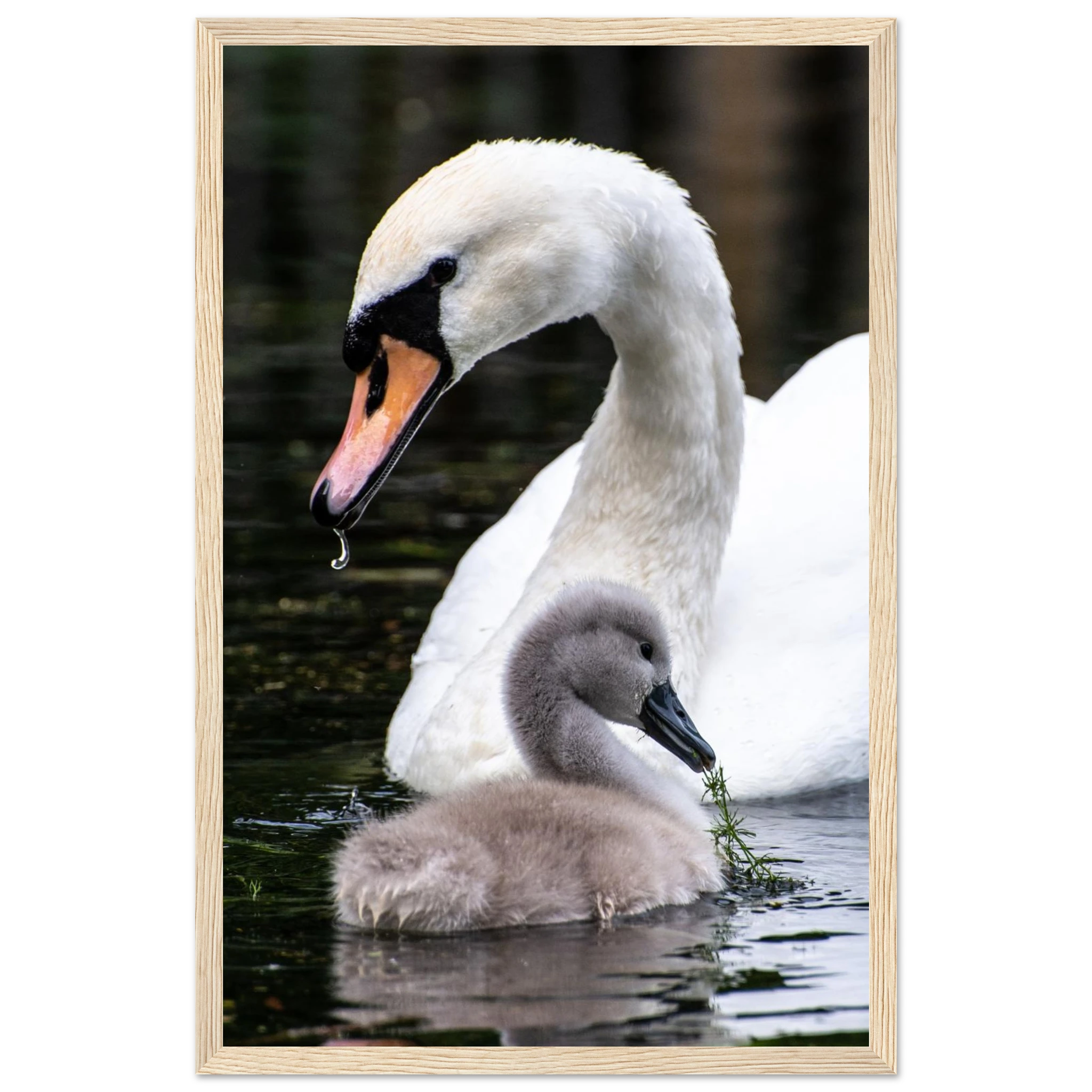 5103ac18-0595-46c2-8ad5-9aa8fe7cd73d