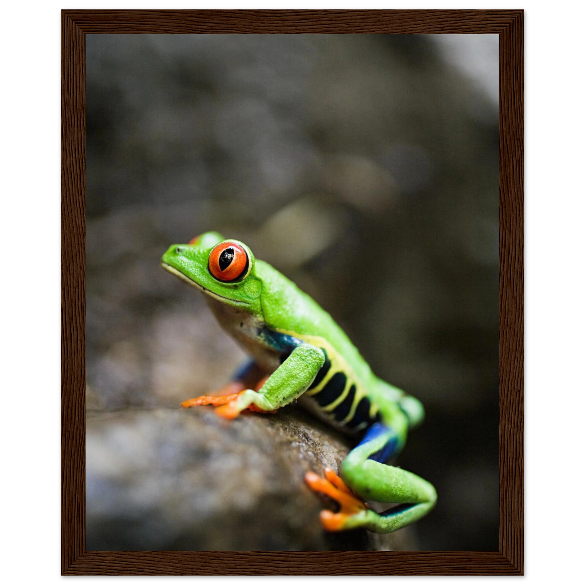 510b61c4-fc3e-4b3c-a625-c3f6164f0b1c