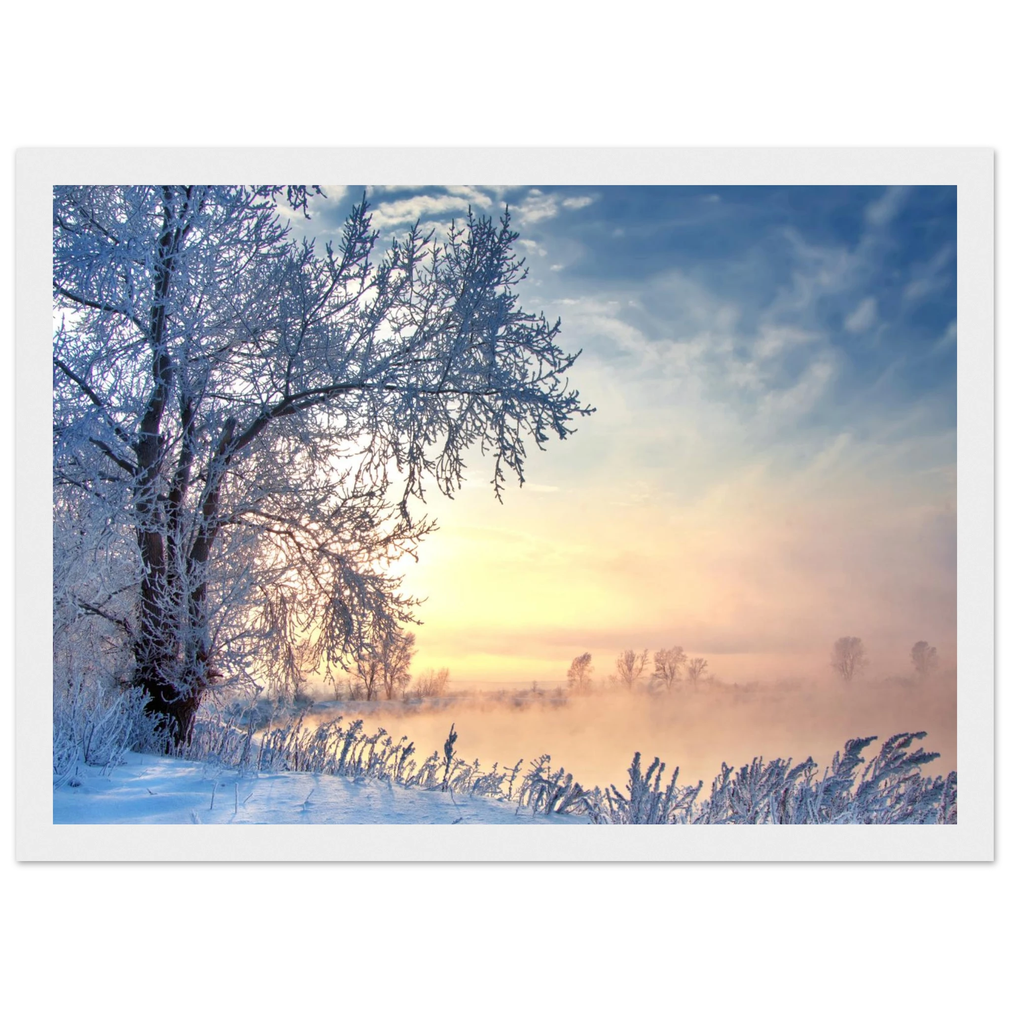 511eb4ac-ba3a-44a1-b1cb-23ef4d7e74b3