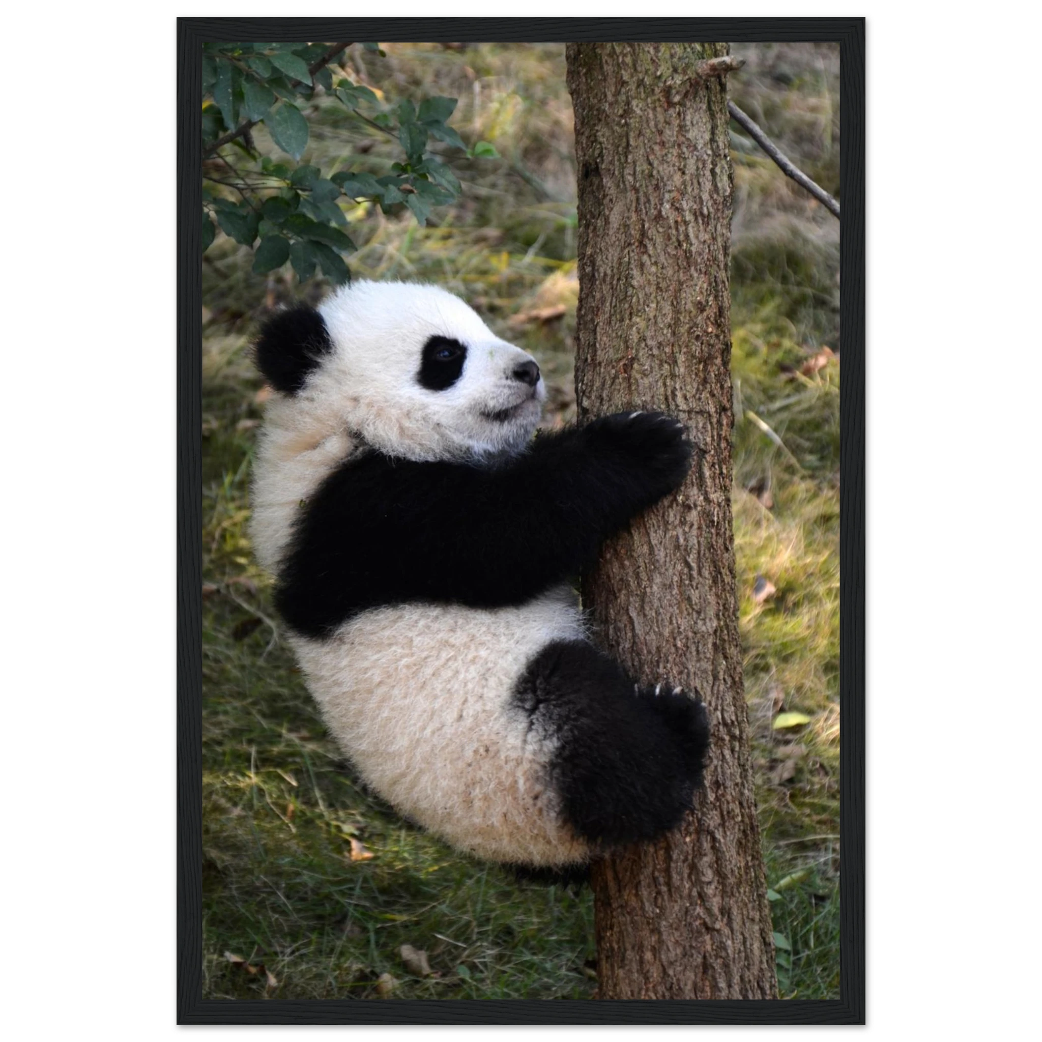 513a5602-4e94-498d-8783-11e0e70dab62