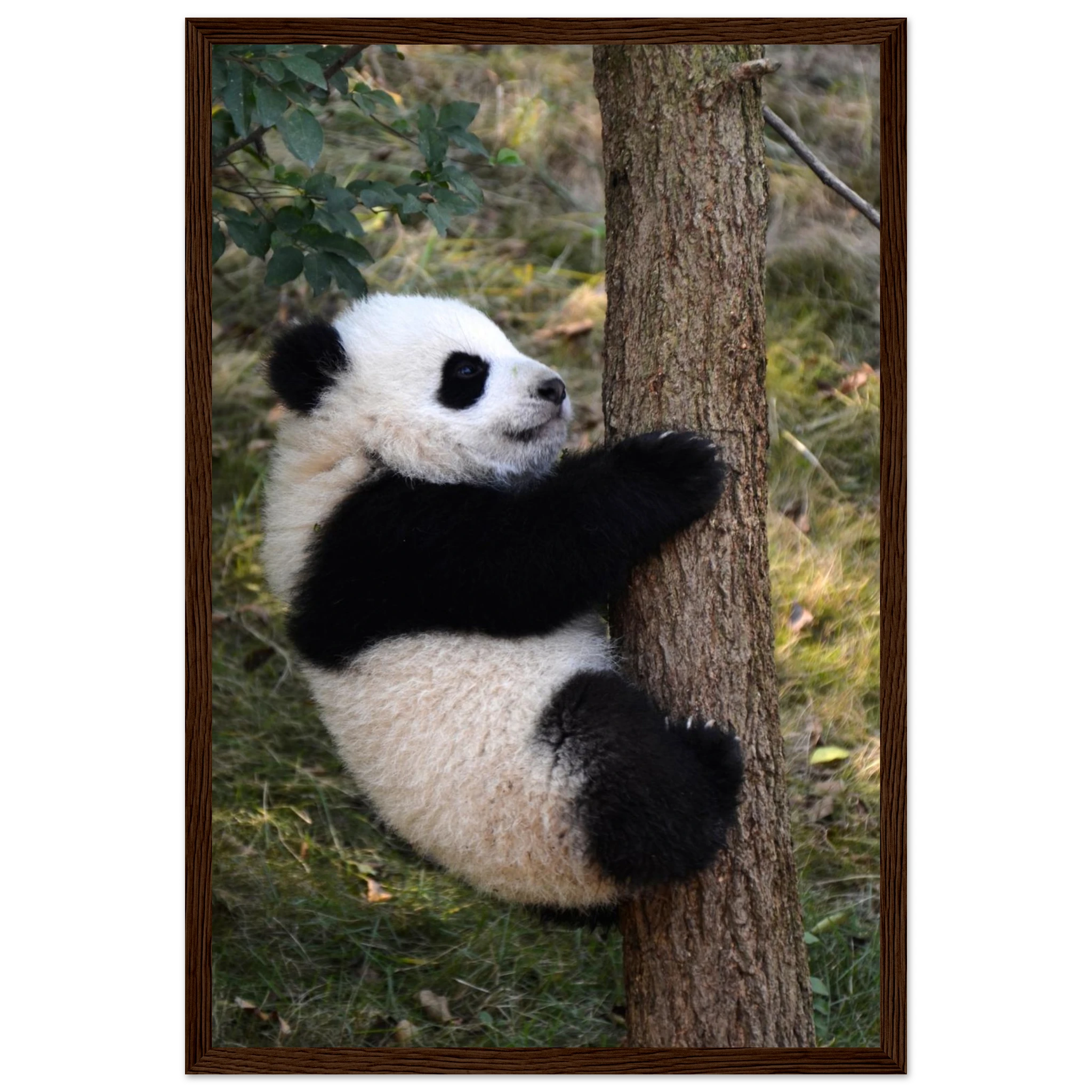 516aa746-4c56-4d4b-9ffd-488f57572ca6