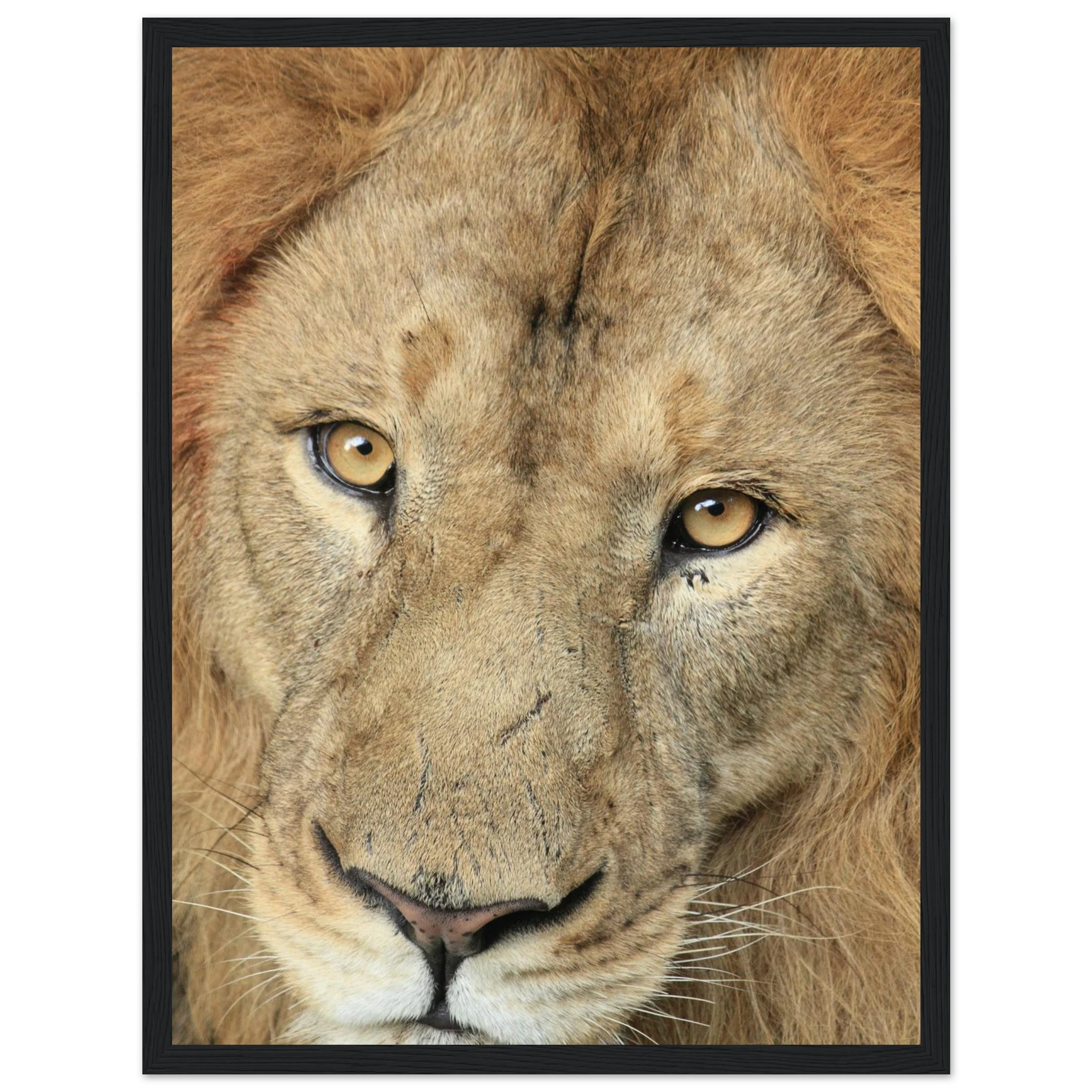 5175d5cc-949d-4dd7-bc76-eadfb5bb353e