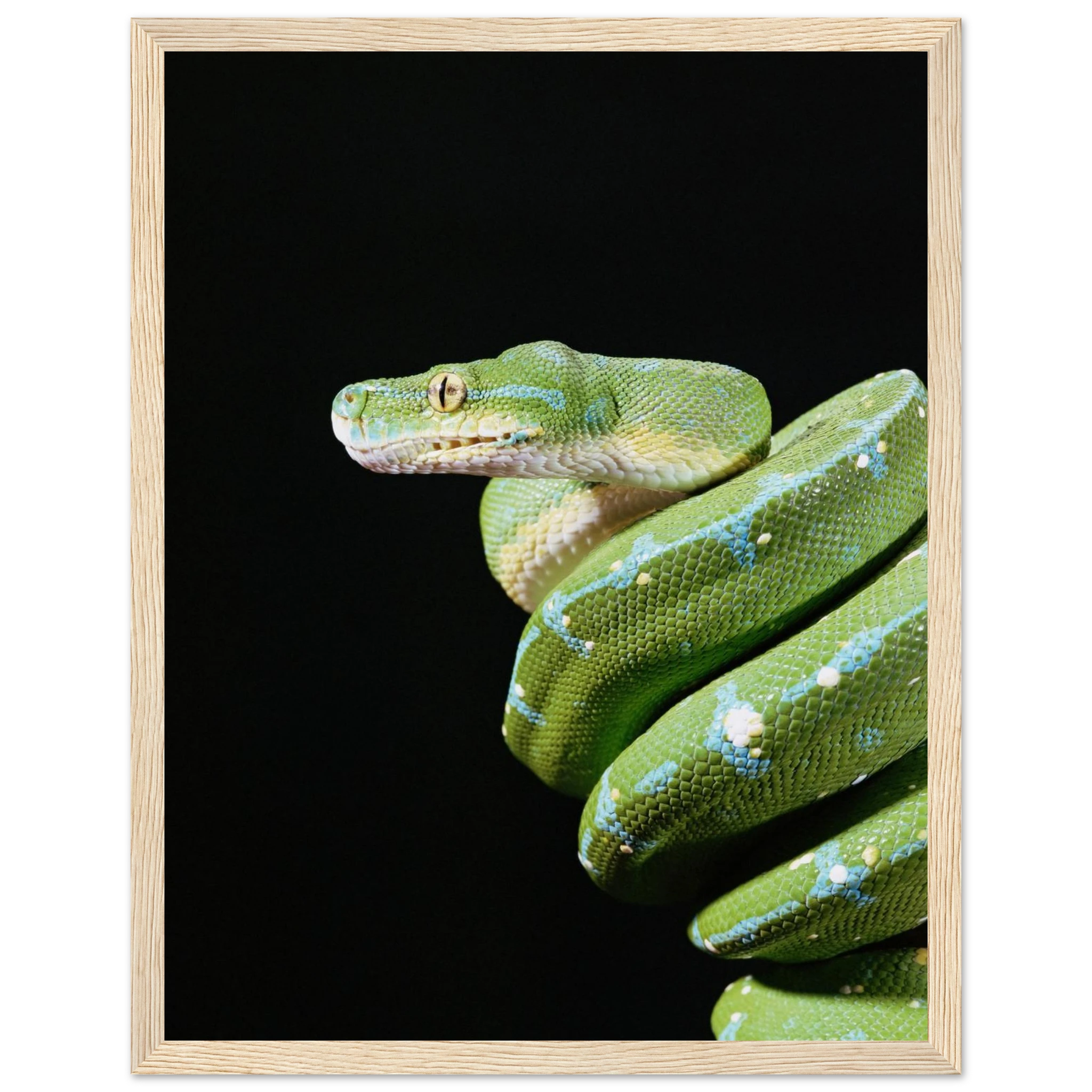 51a402b6-42f0-46d2-b5b3-f18996183636