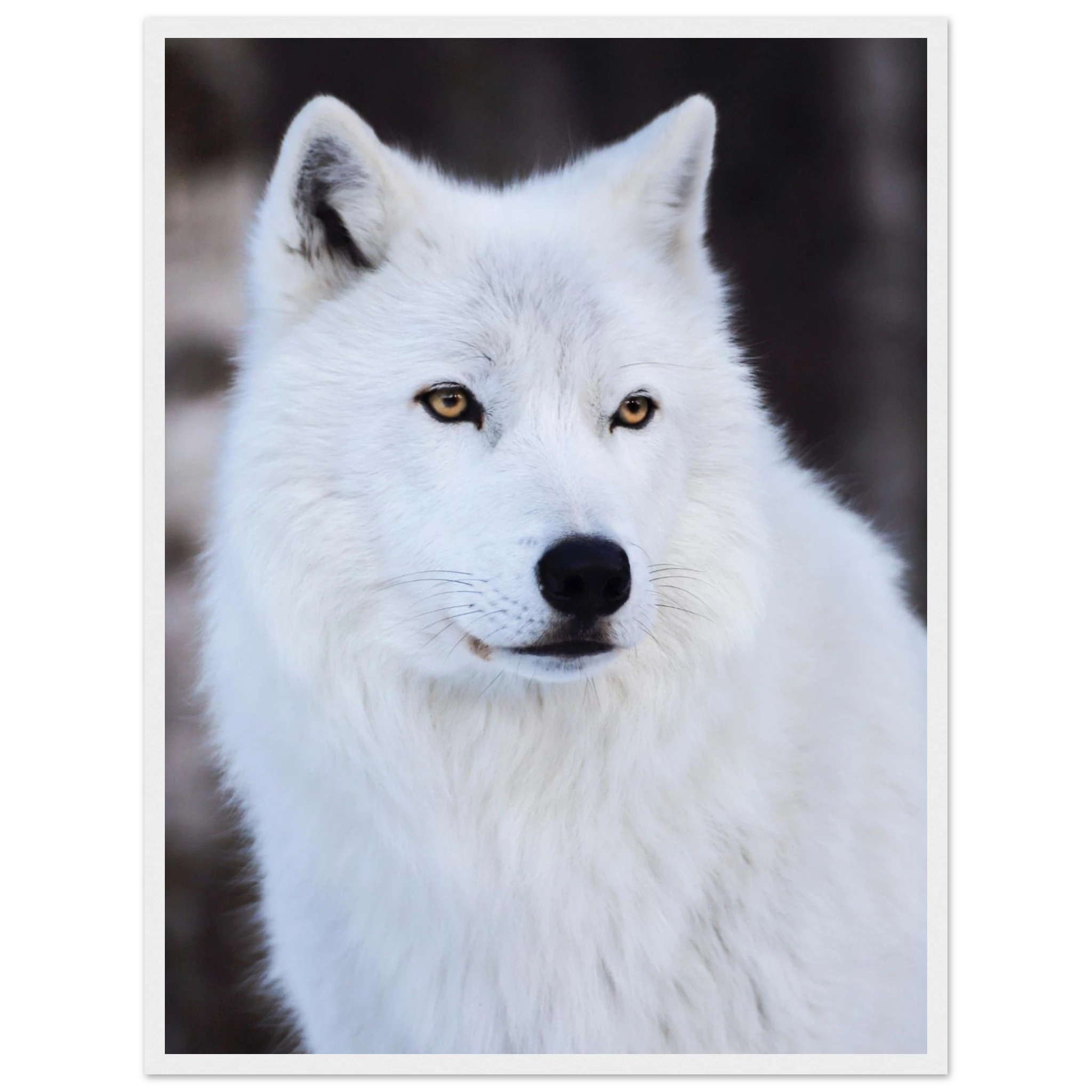 51bd0696-bc5a-4782-bf35-d8dfc766486a