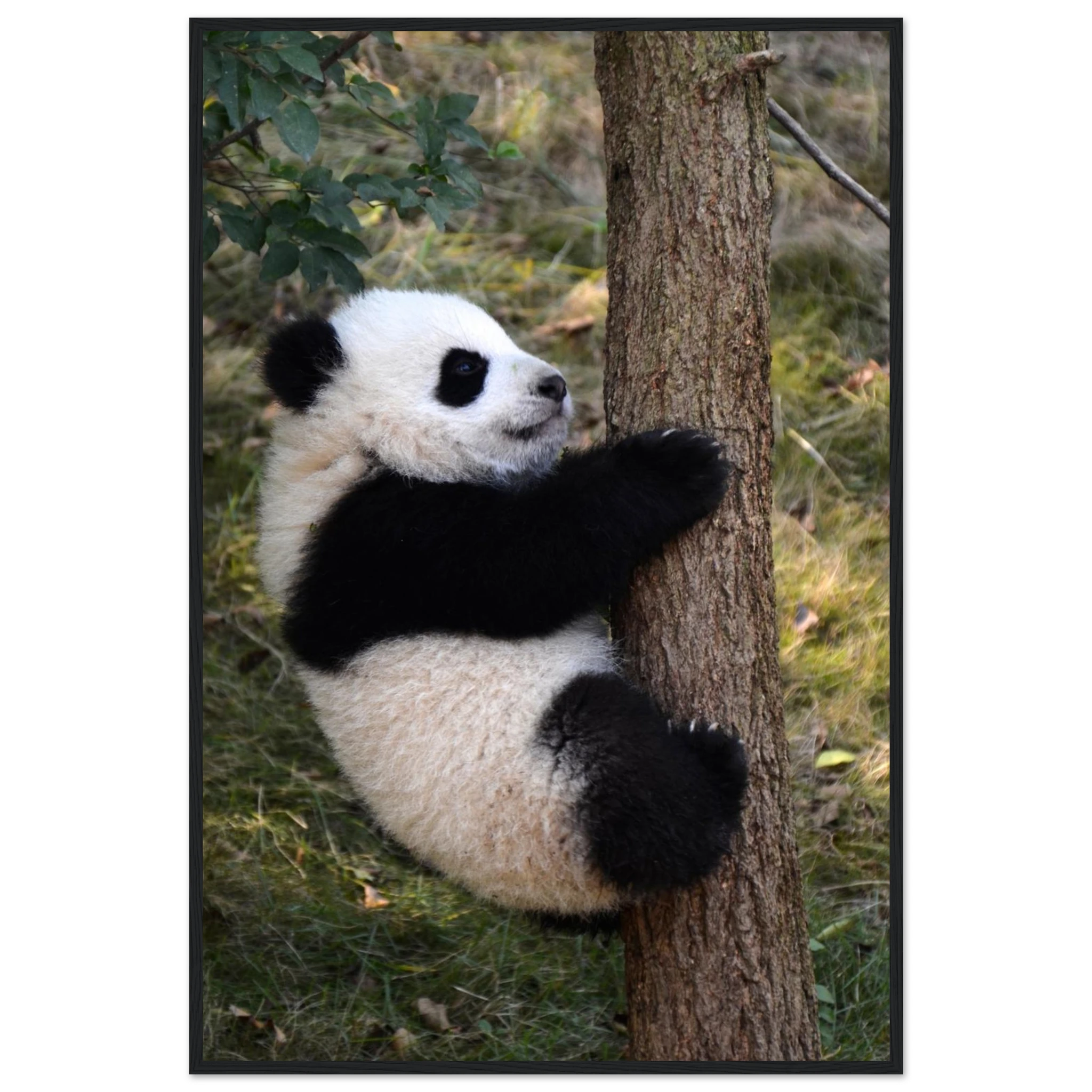 51c12efc-a322-42ae-a1cf-250d913f63f9