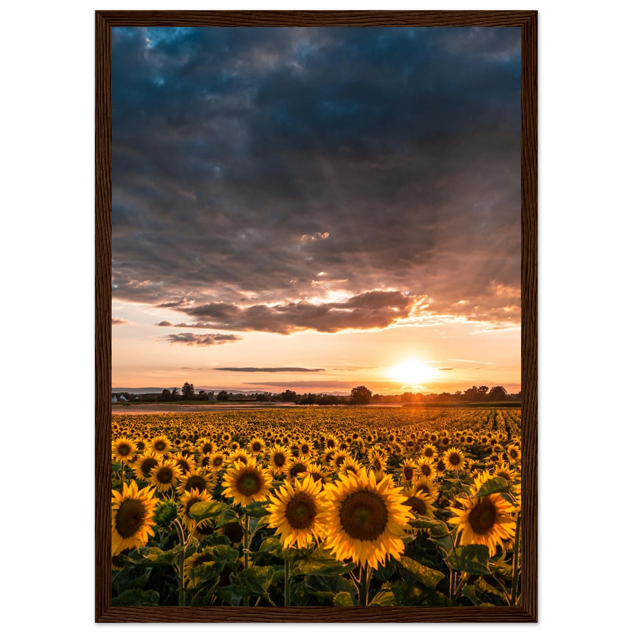 51d2afa0-f85a-4703-bbea-4ff8e7d0c464