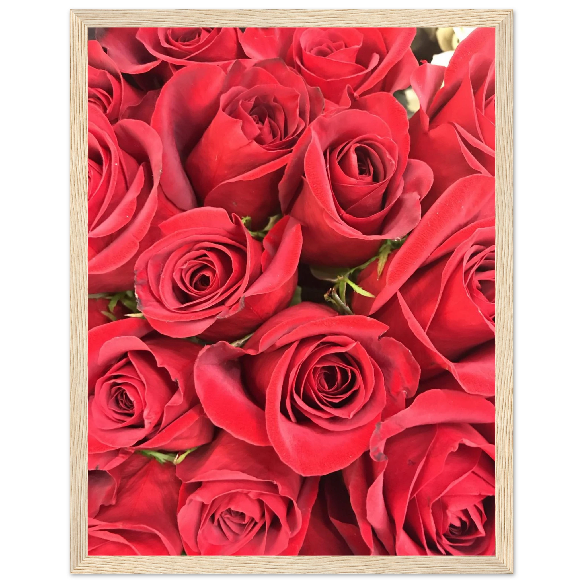 51dc5d35-e9e8-4101-a22b-a4f7c2894605