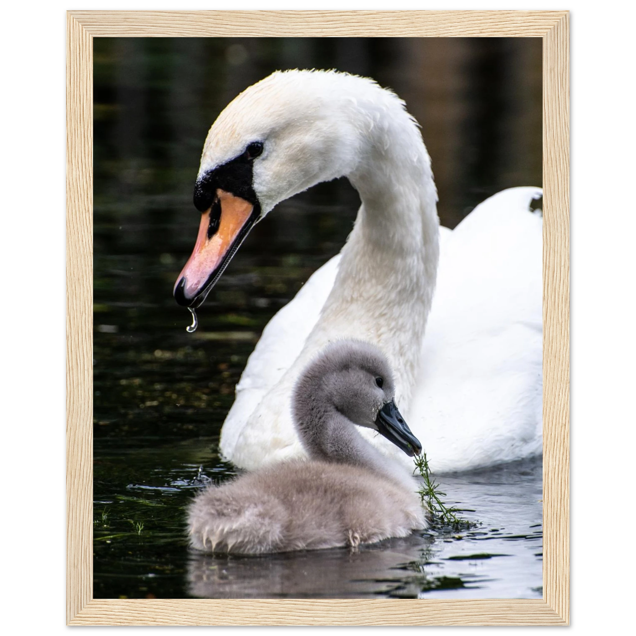 51e9e96d-d270-4cdf-be2a-1754b69b688f