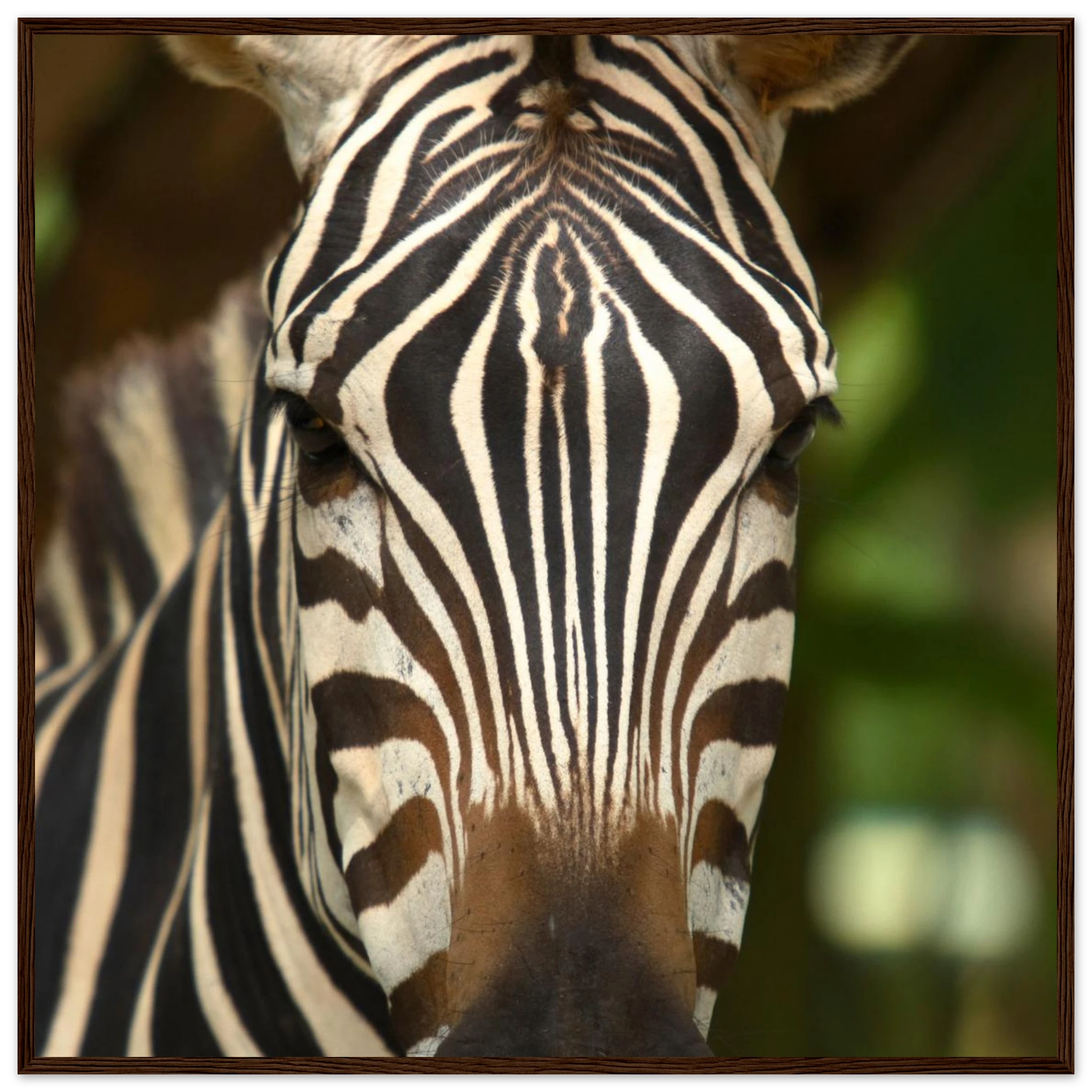 5205abcf-109c-431e-9496-6f26d3fd9205