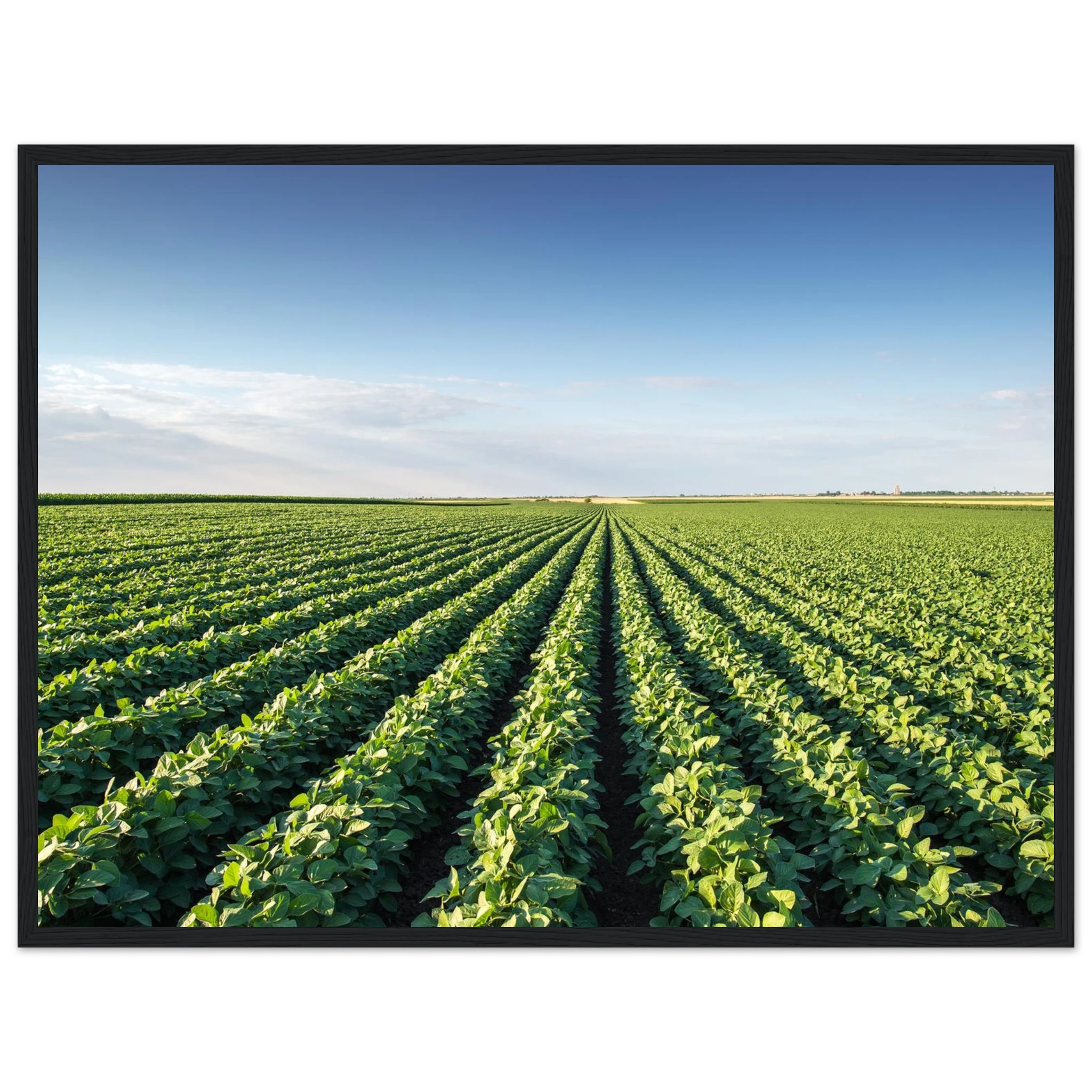 5210b9c7-f4ef-4205-a4b3-9f8c6c167e30