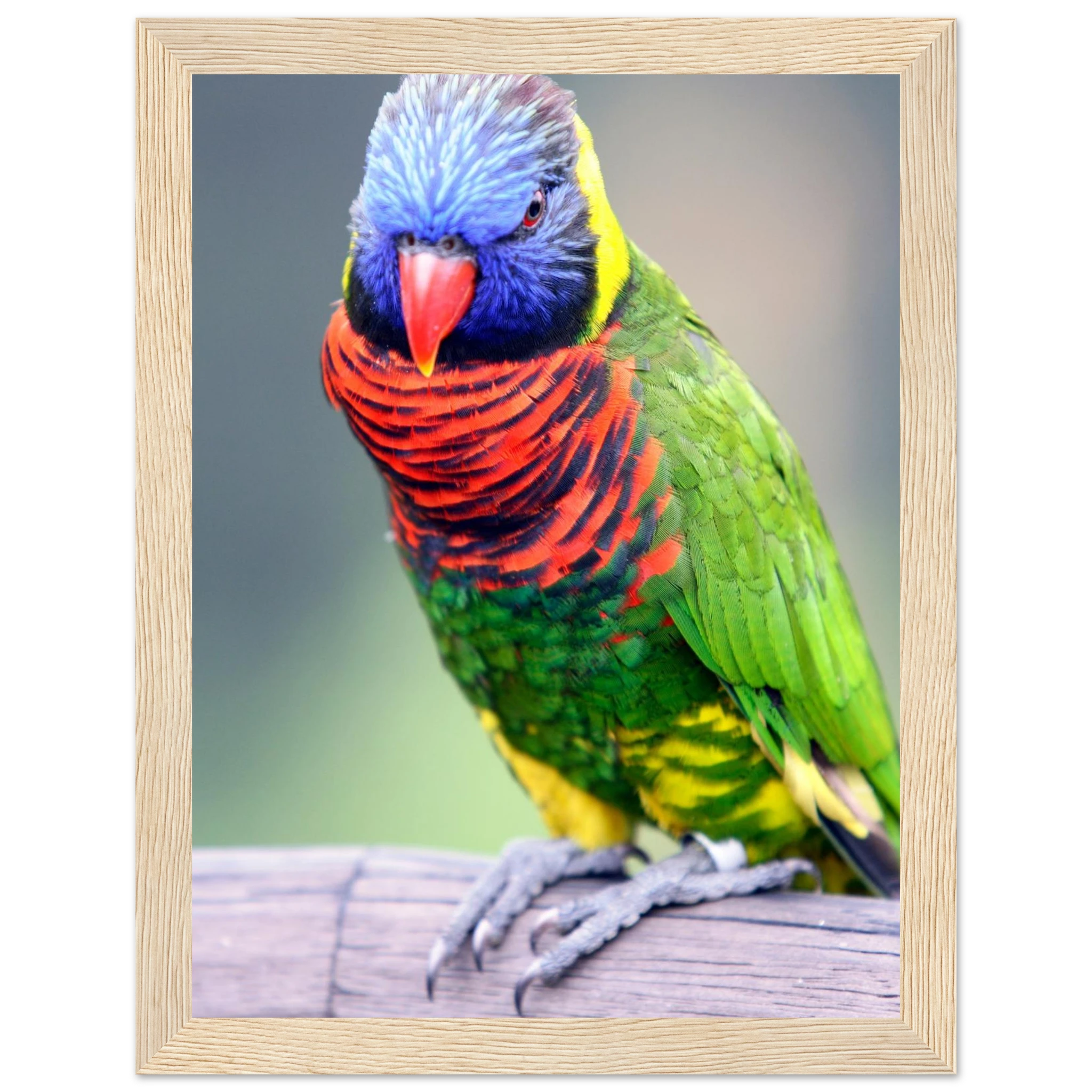 521e11af-25eb-4196-90b4-b88d5d636e38